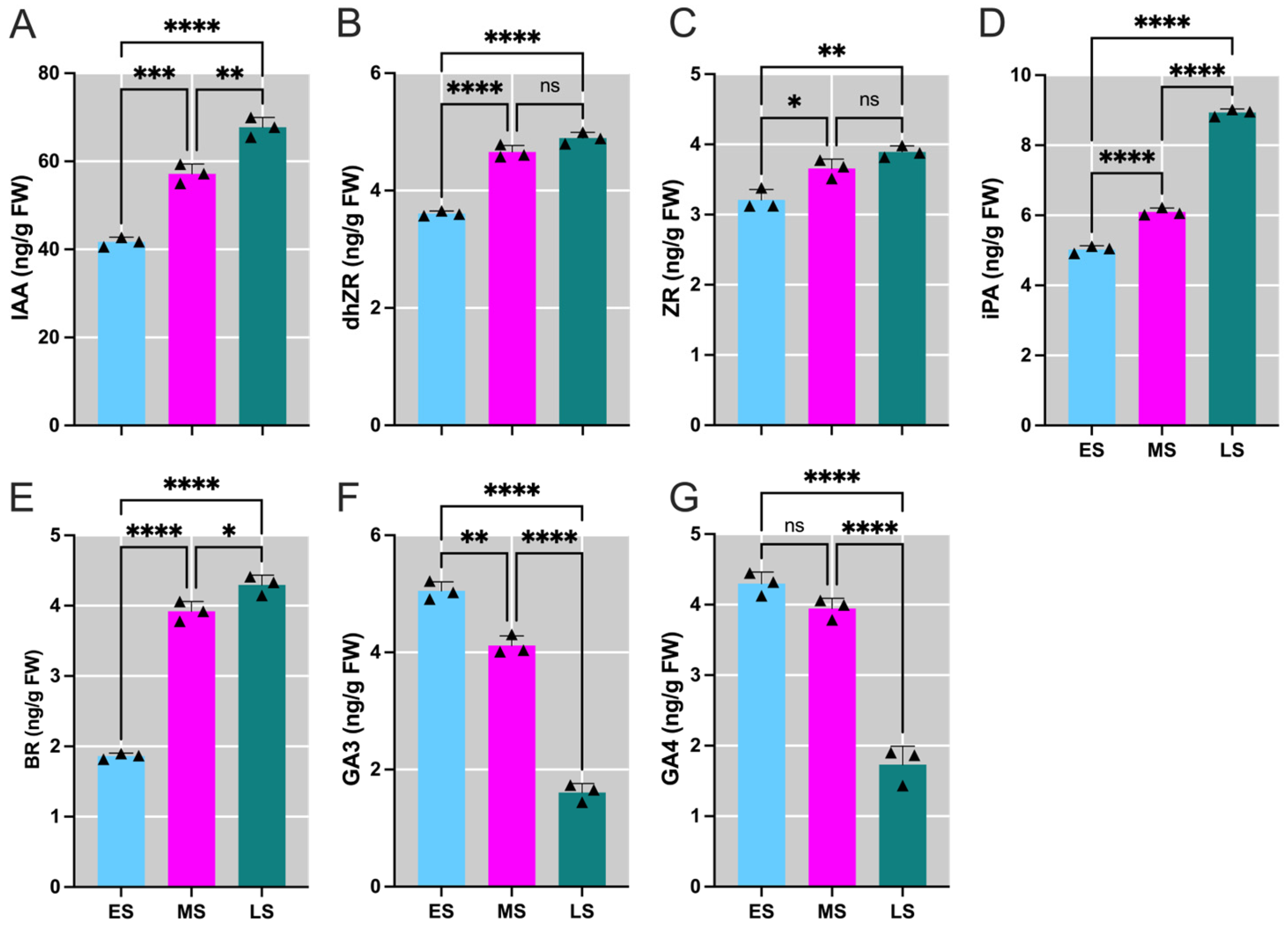 Ijms 26 01250 g002 Ijms 26 01250 g002