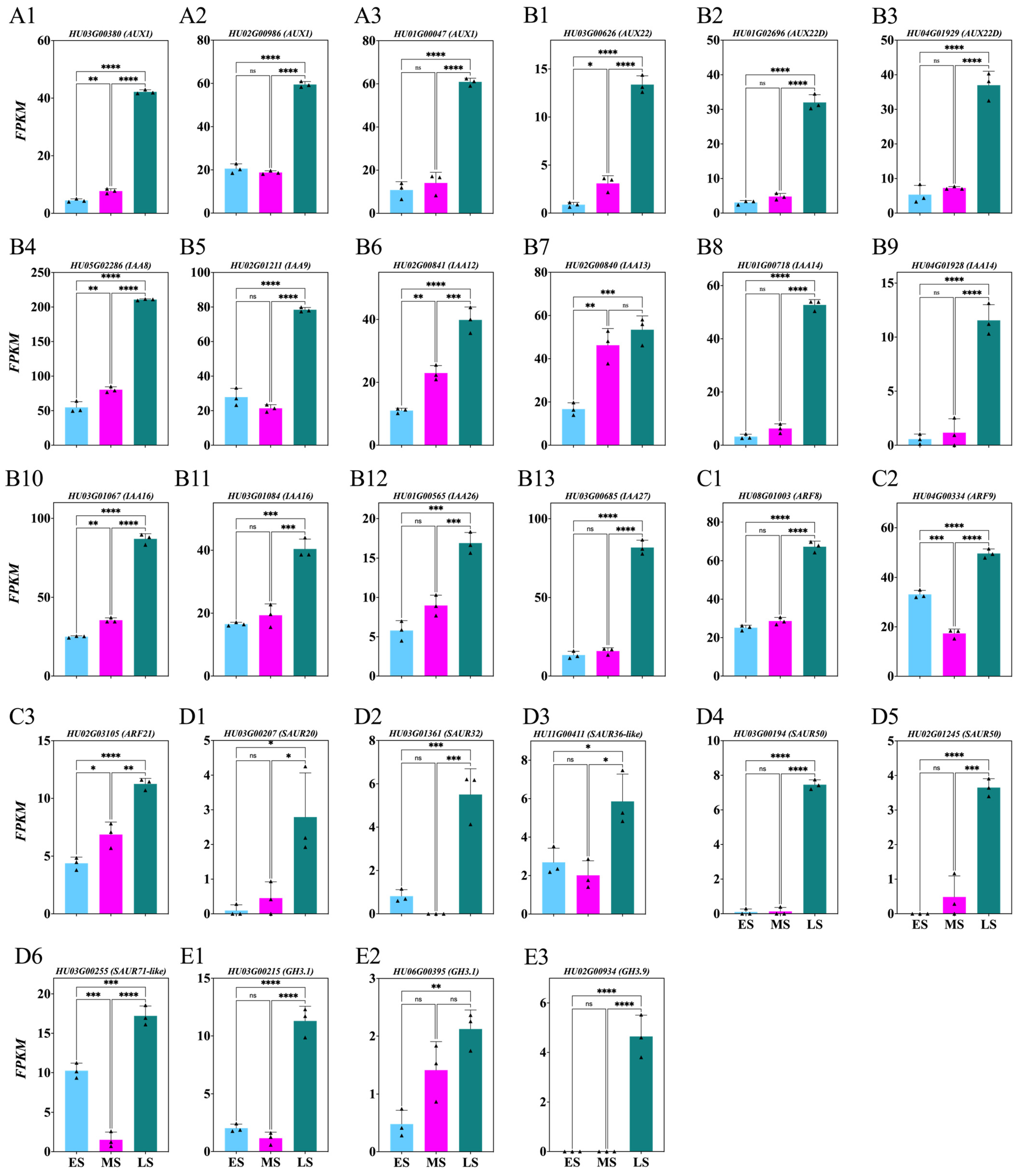 Ijms 26 01250 g005 Ijms 26 01250 g005