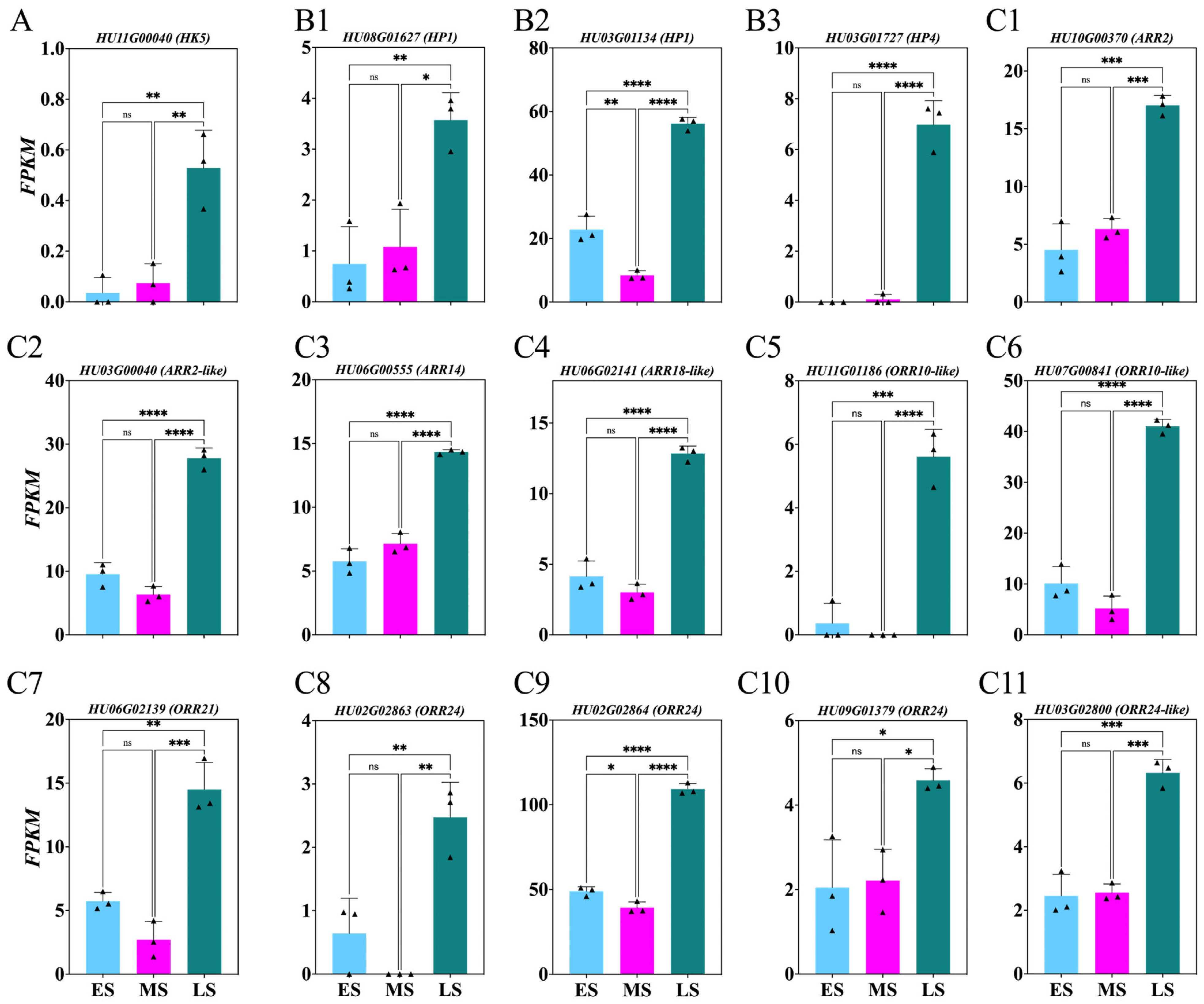 Ijms 26 01250 g006 Ijms 26 01250 g006