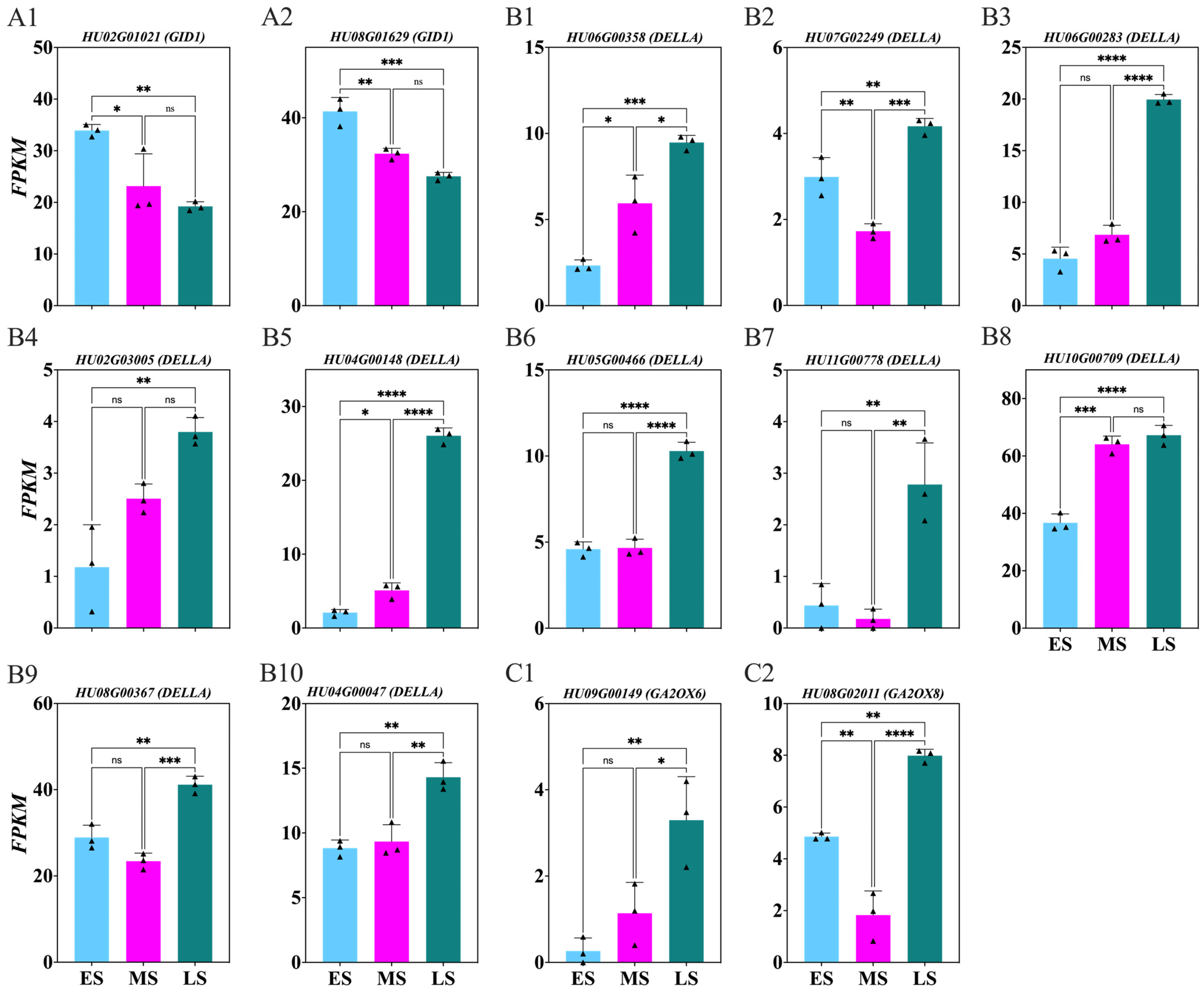 Ijms 26 01250 g008 Ijms 26 01250 g008