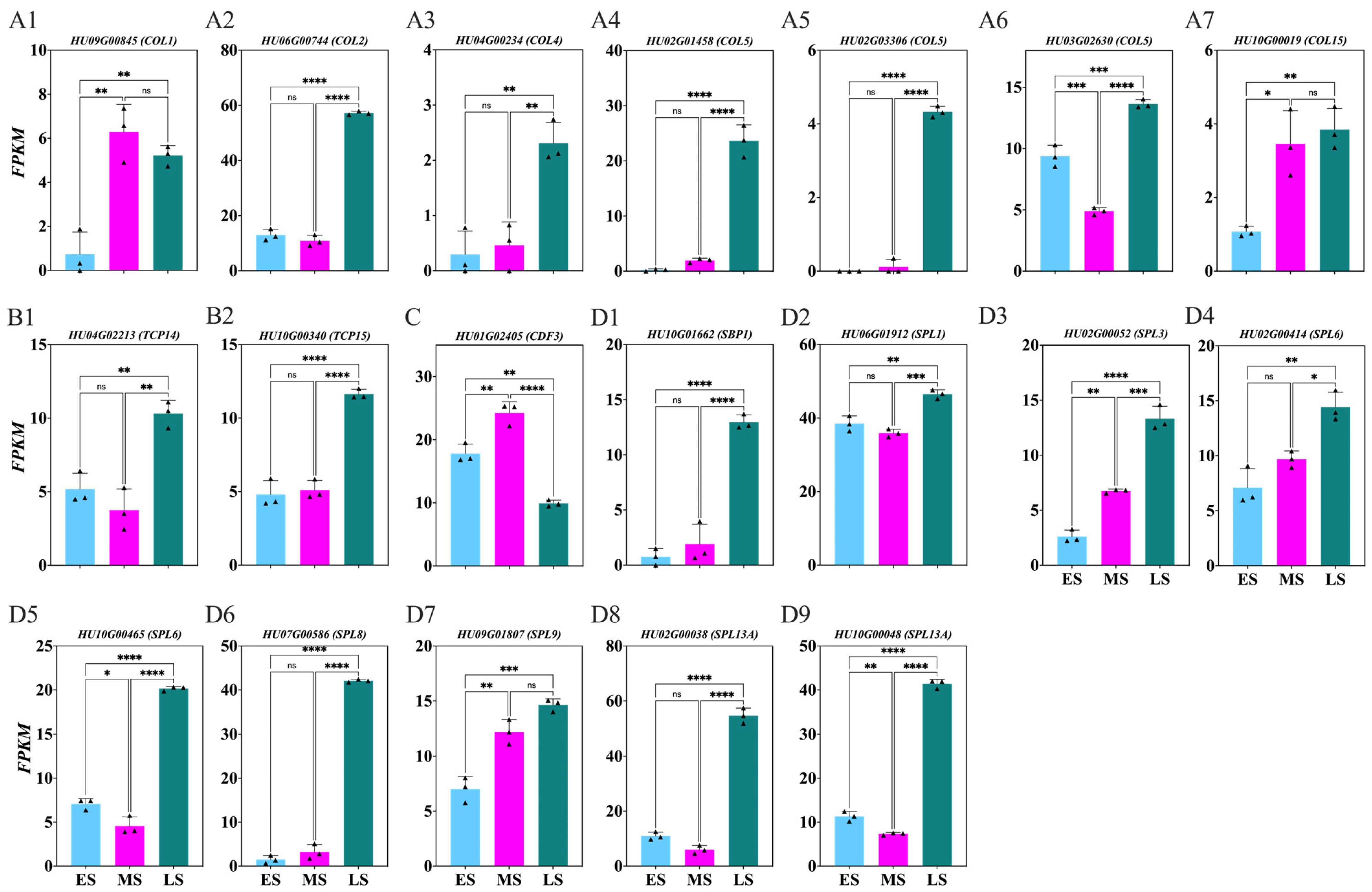 Ijms 26 01250 g009 Ijms 26 01250 g009