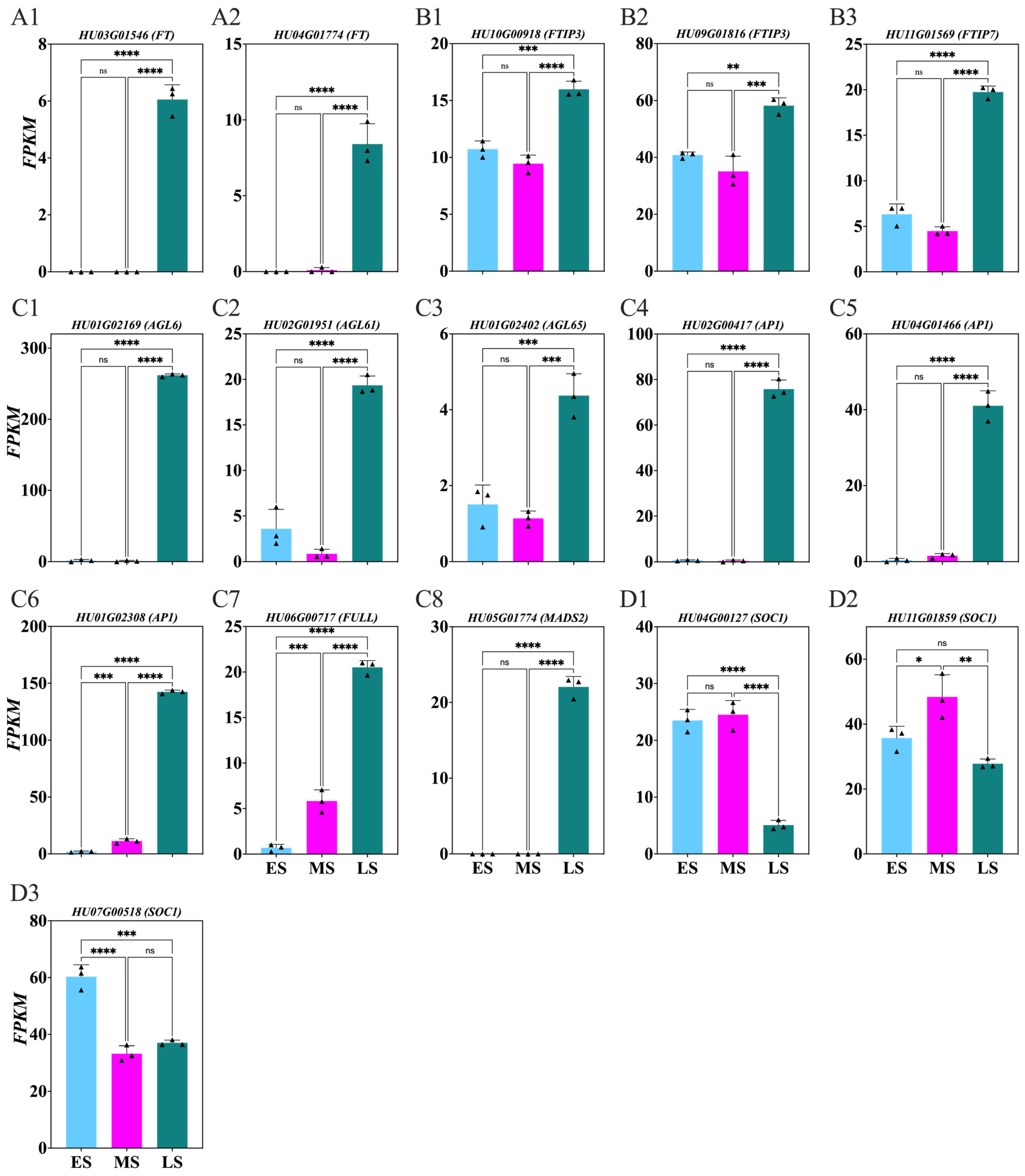 Ijms 26 01250 g010 Ijms 26 01250 g010