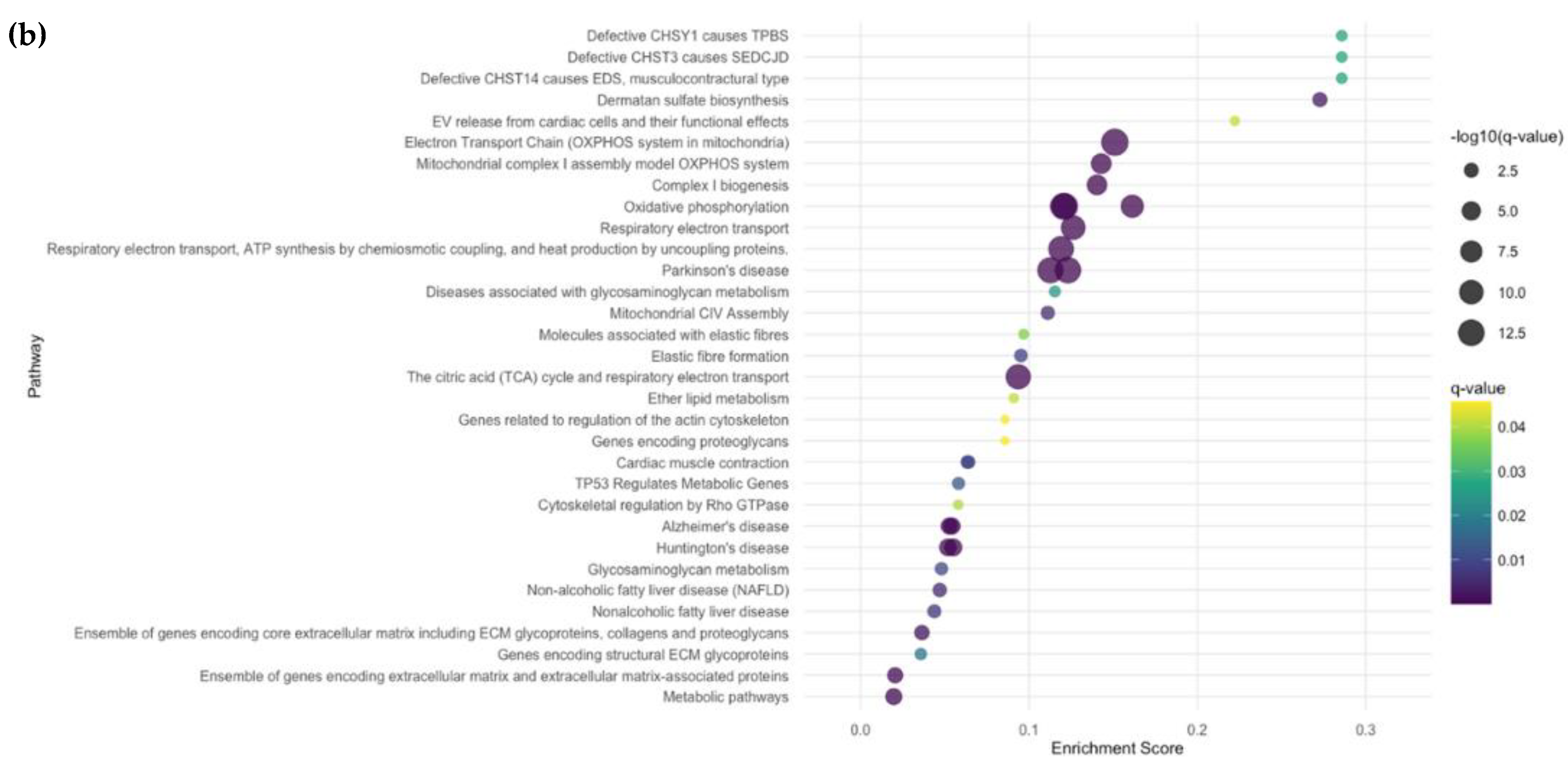 Ijms 26 01258 g001b Ijms 26 01258 g001b