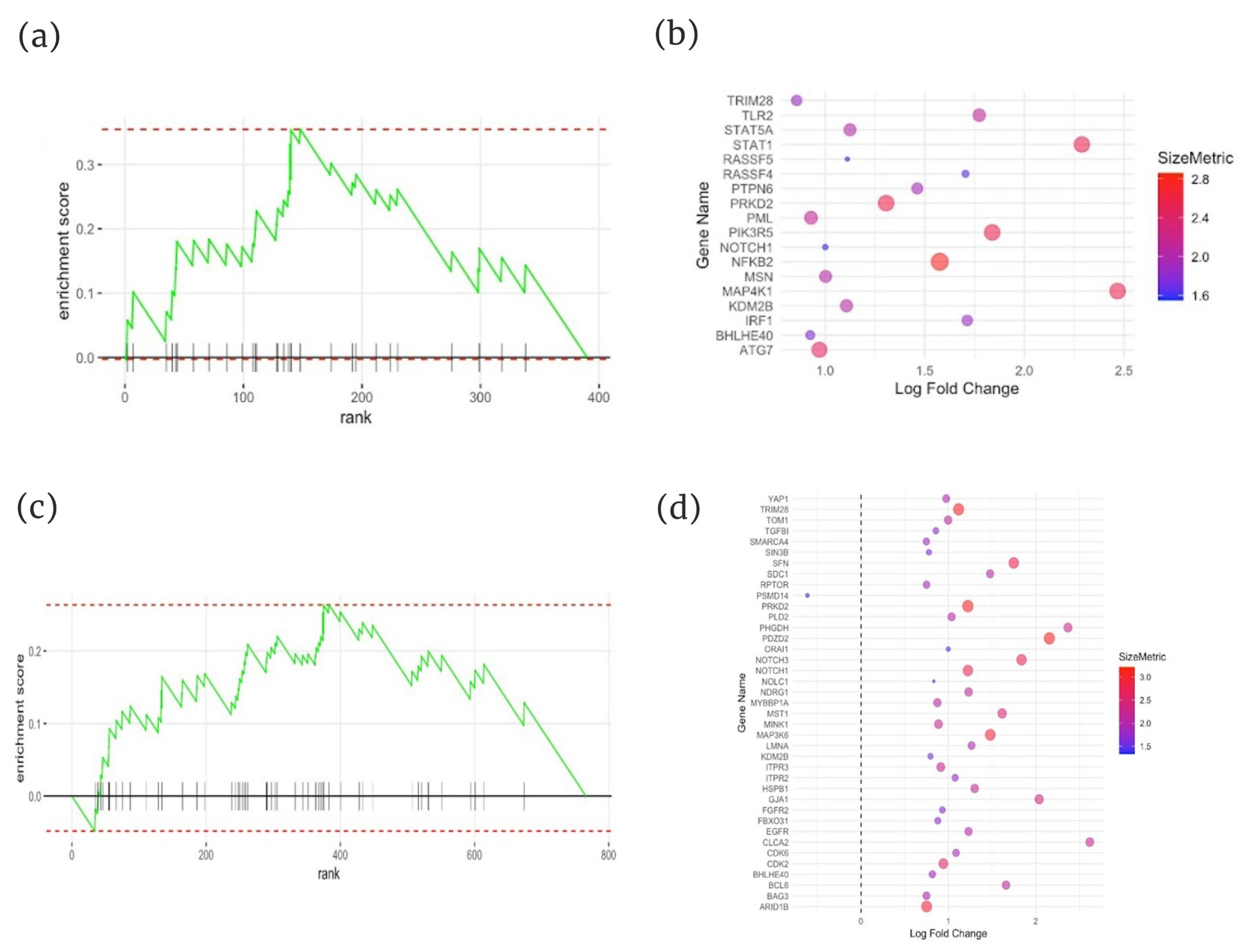Ijms 26 01258 g004 Ijms 26 01258 g004