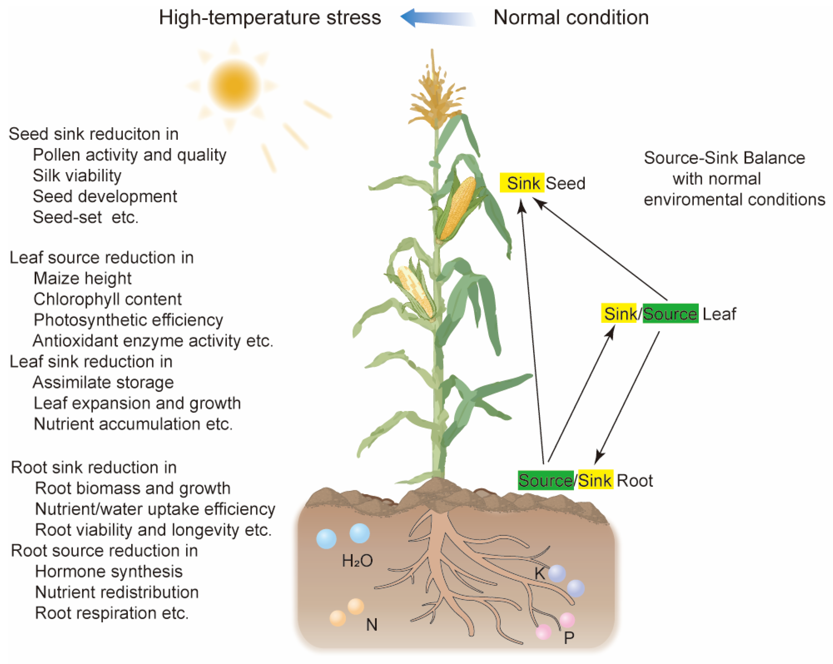 Ijms 26 01283 g001 Ijms 26 01283 g001