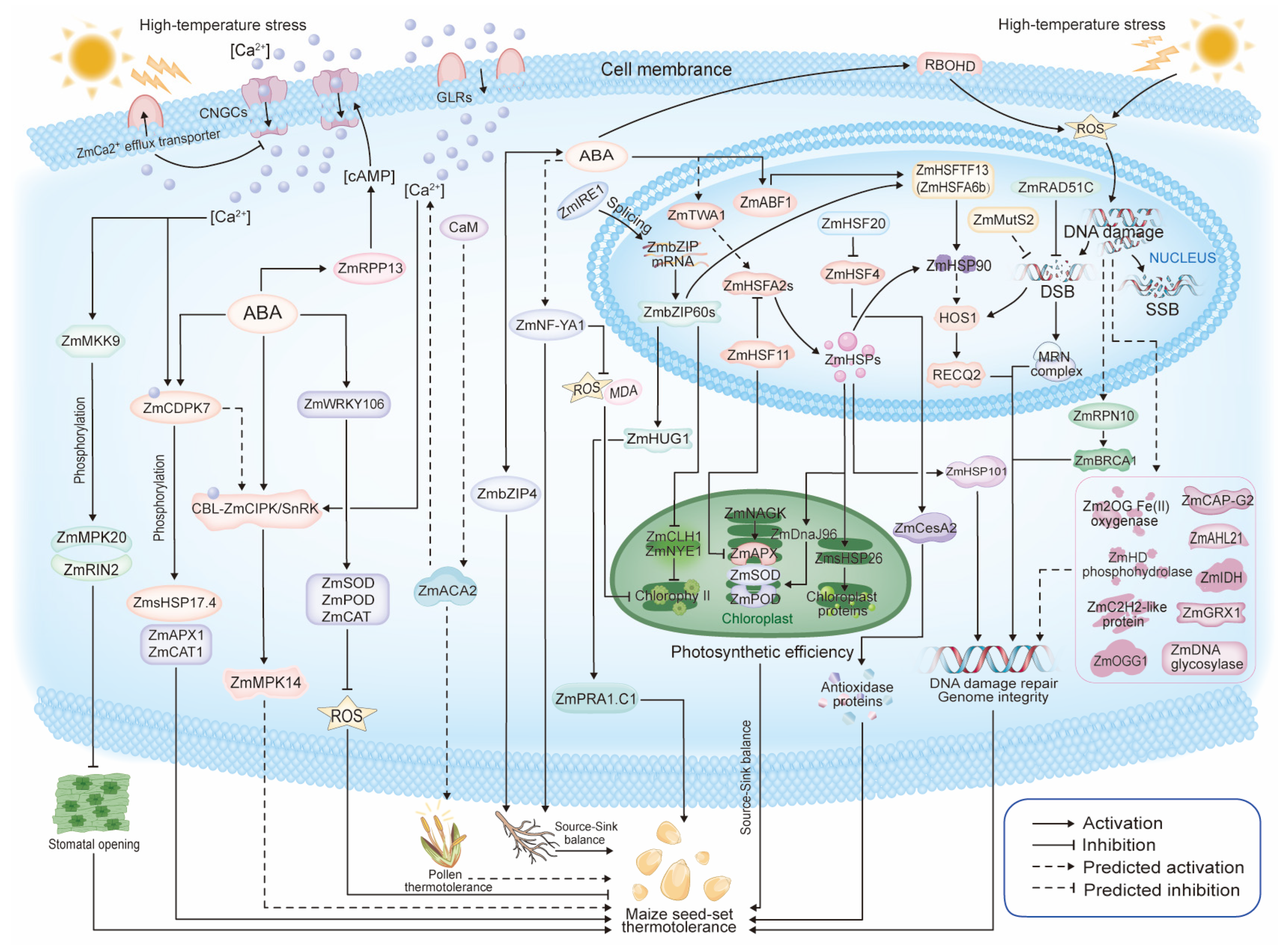 Ijms 26 01283 g002 Ijms 26 01283 g002
