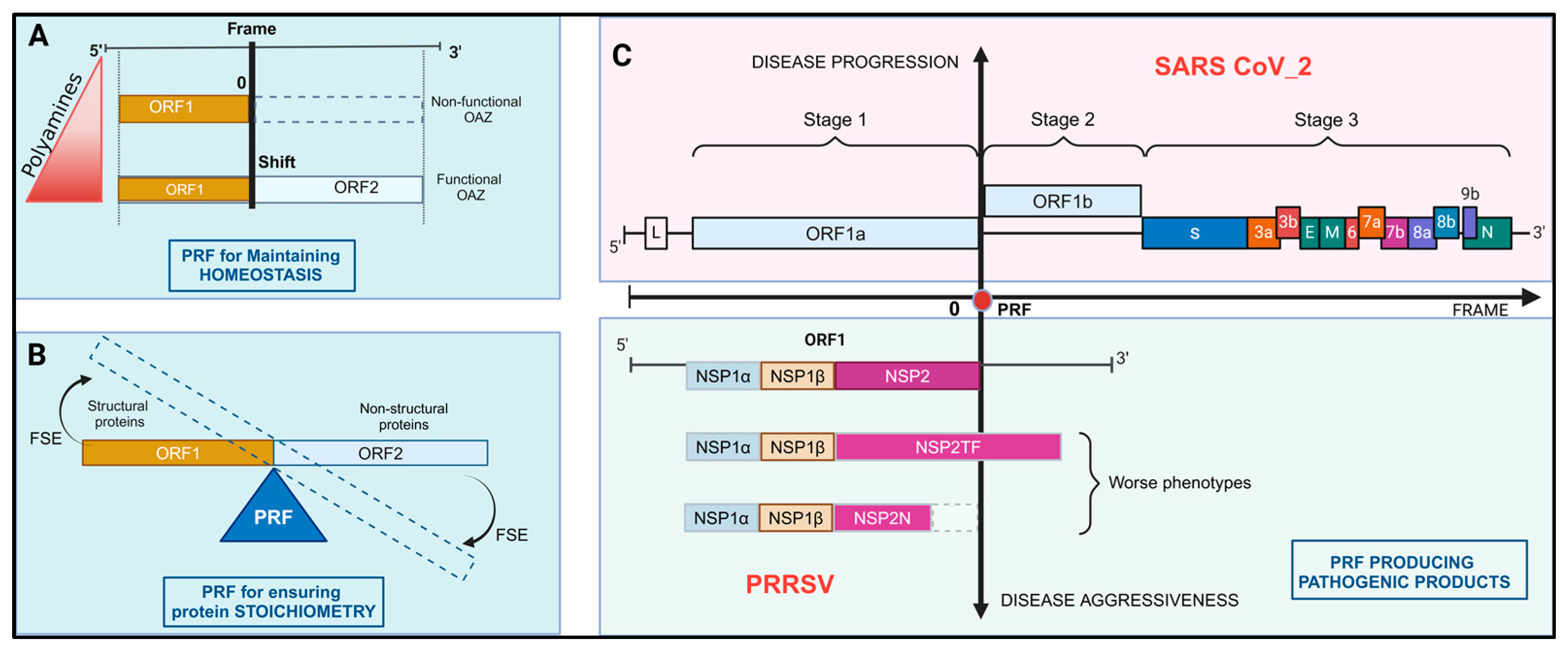 Ijms 26 01294 g002 Ijms 26 01294 g002