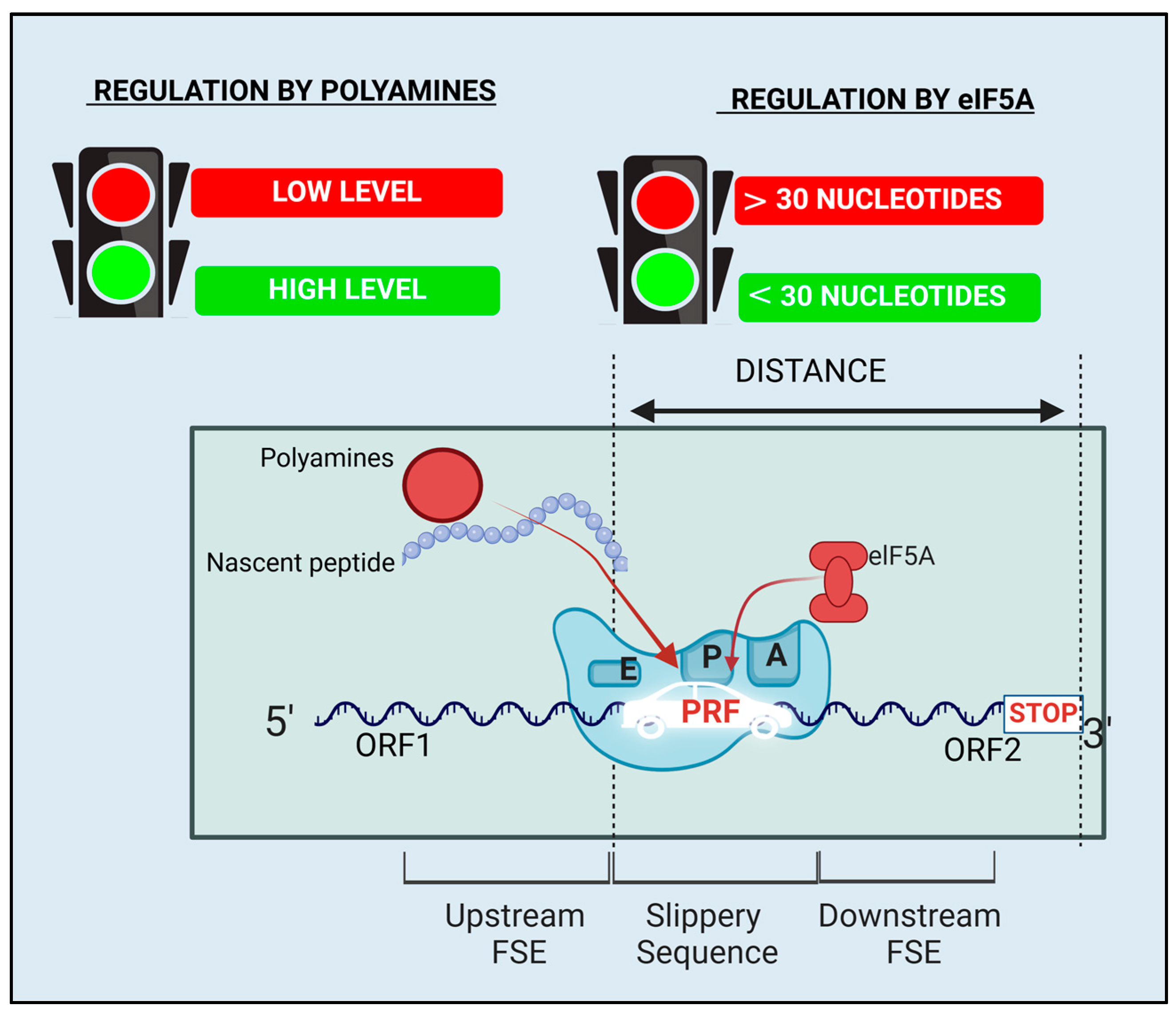 Ijms 26 01294 g003 Ijms 26 01294 g003