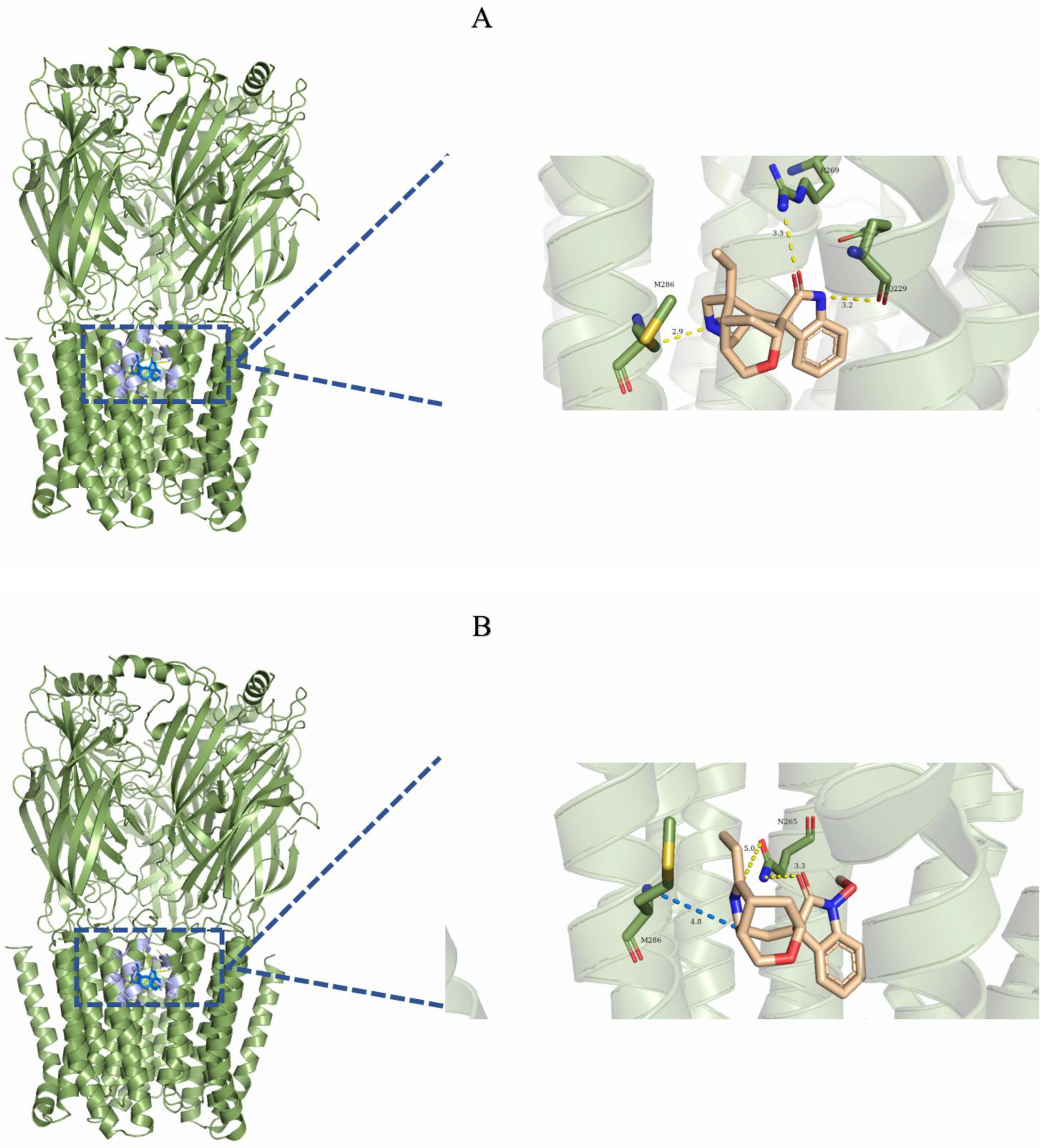 Ijms 26 01312 g005a Ijms 26 01312 g005a