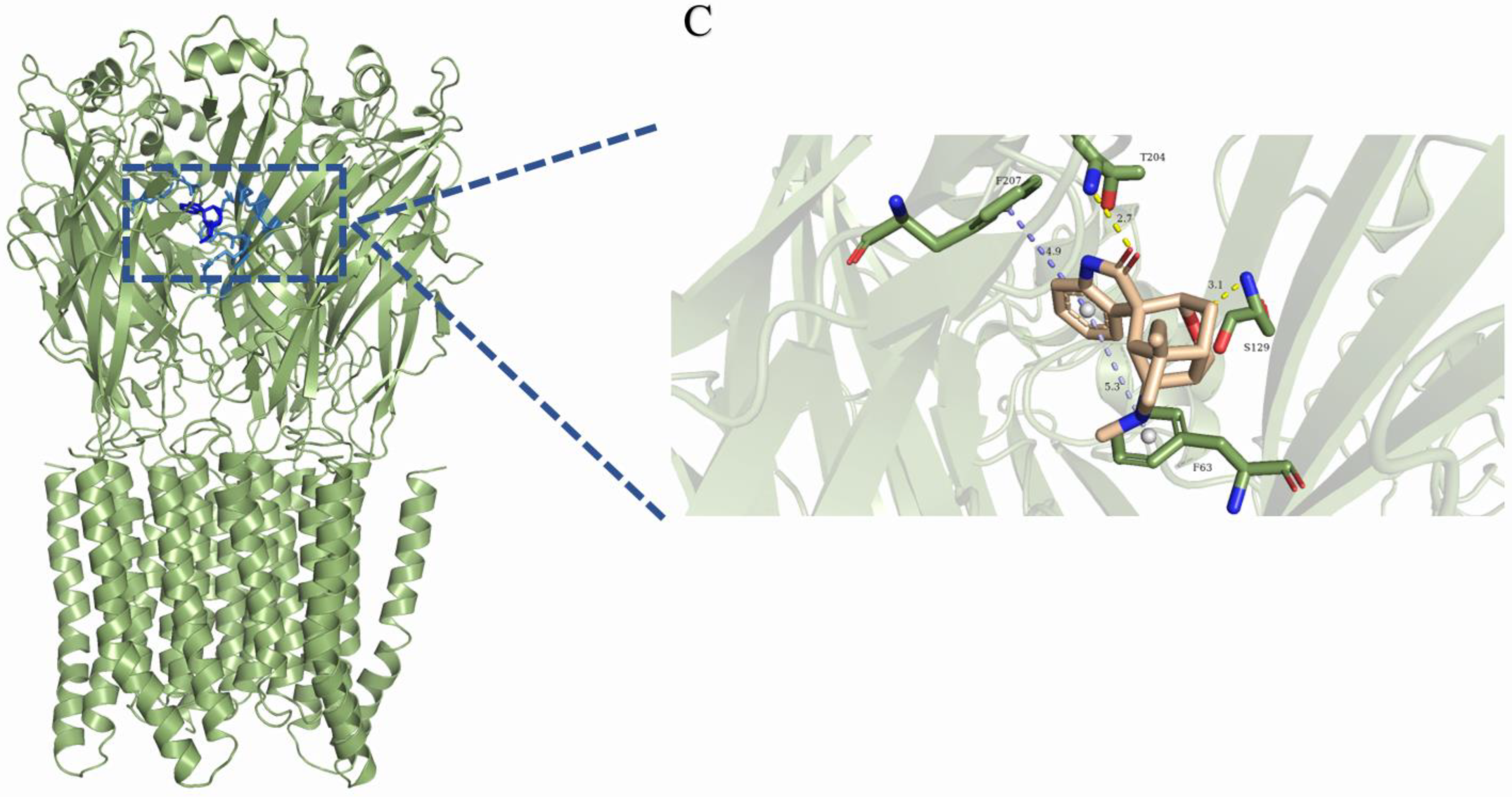 Ijms 26 01312 g005b Ijms 26 01312 g005b