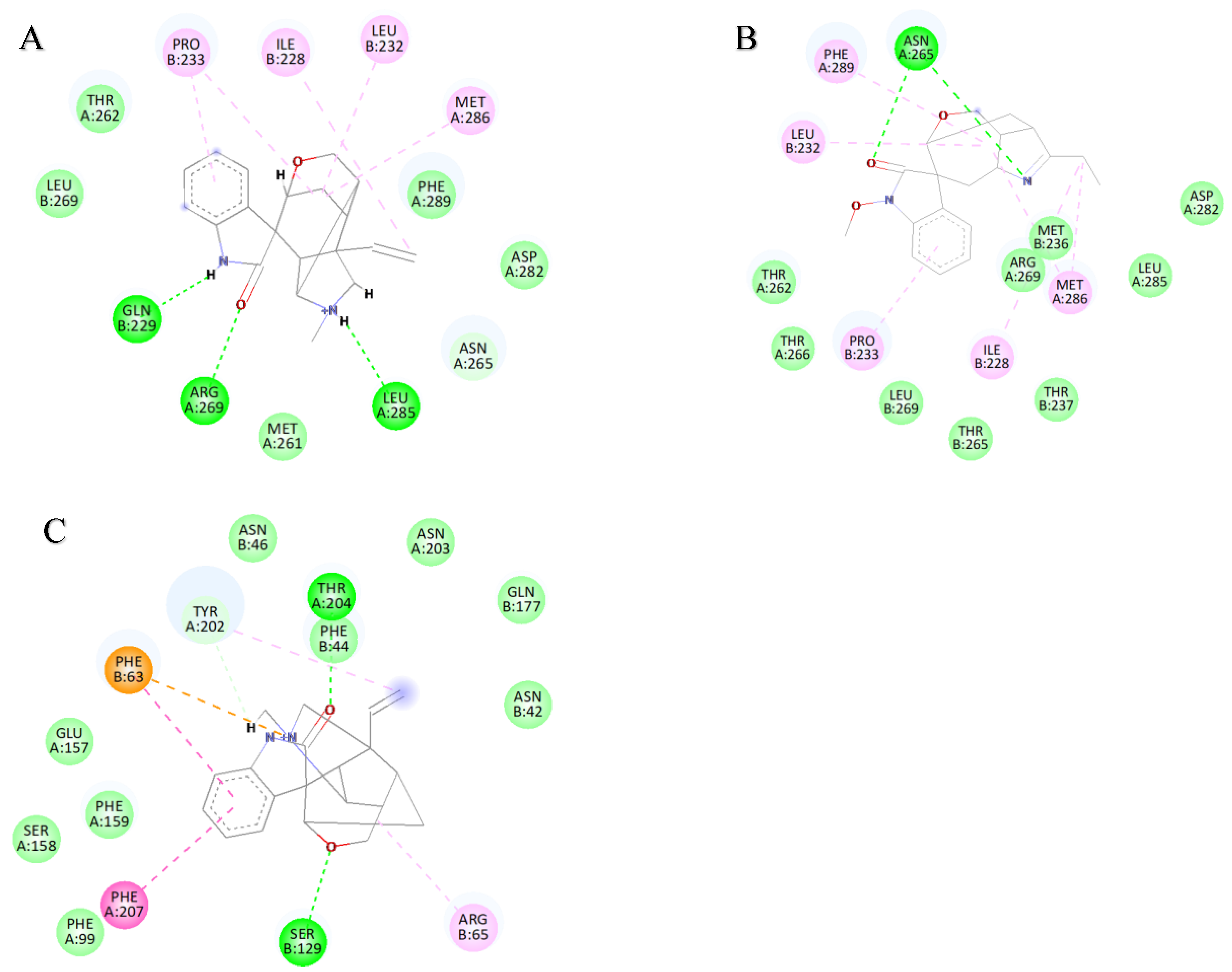 Ijms 26 01312 g006 Ijms 26 01312 g006