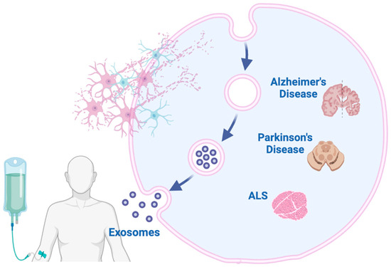 Roles, Functions, and Pathological Implications of Exosomes Roles, Functions, and Pathological Implications of Exosomes