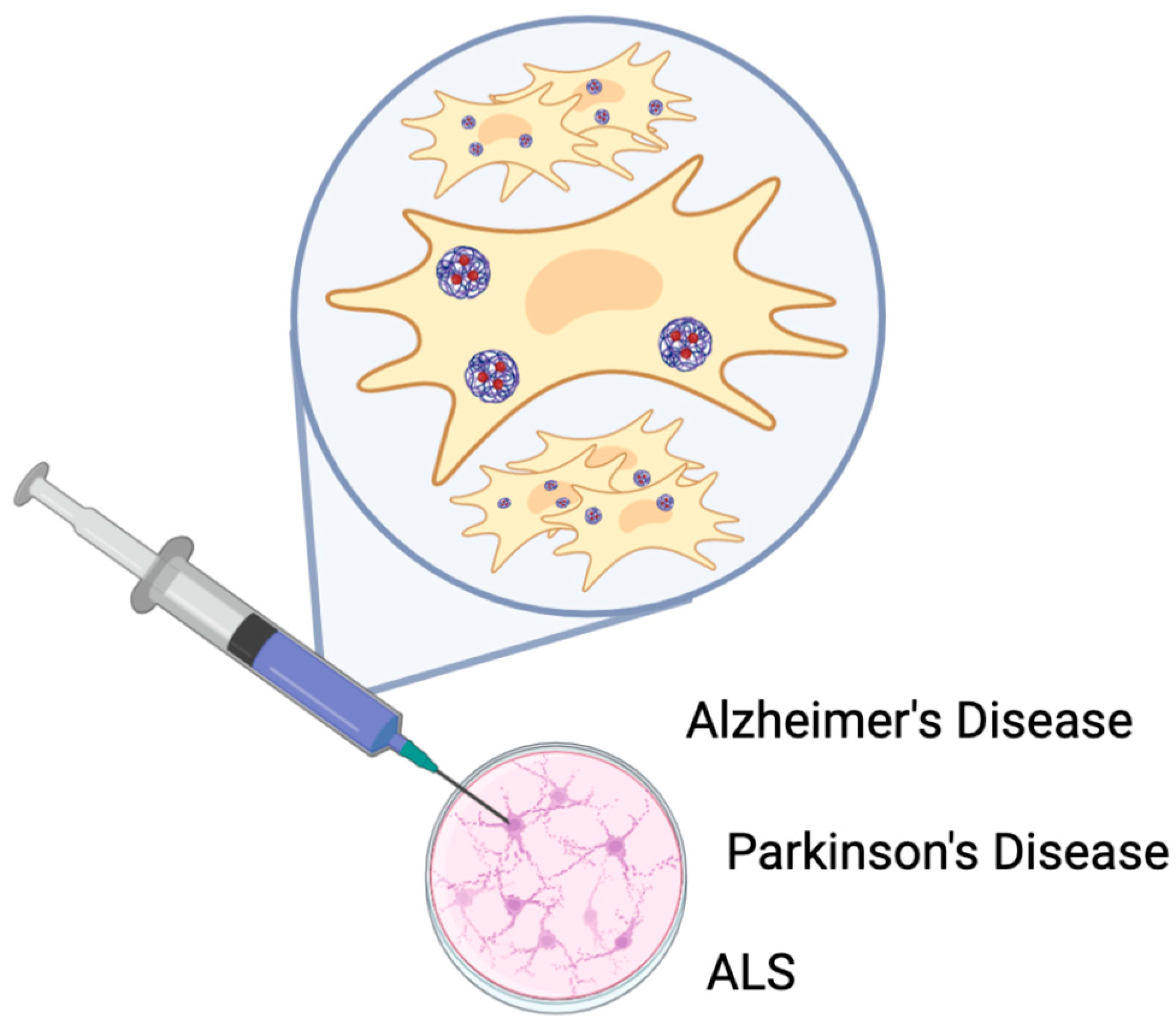 Roles, Functions, and Pathological Implications of Exosomes