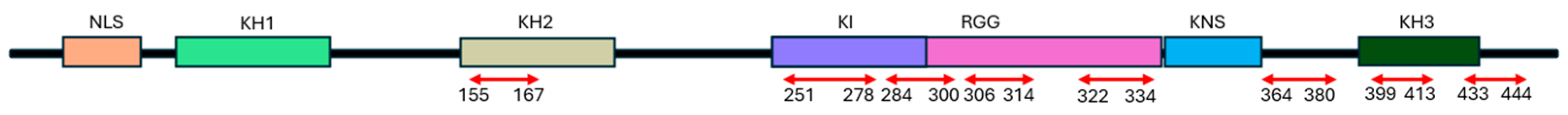 Ijms 26 01356 g001 Ijms 26 01356 g001