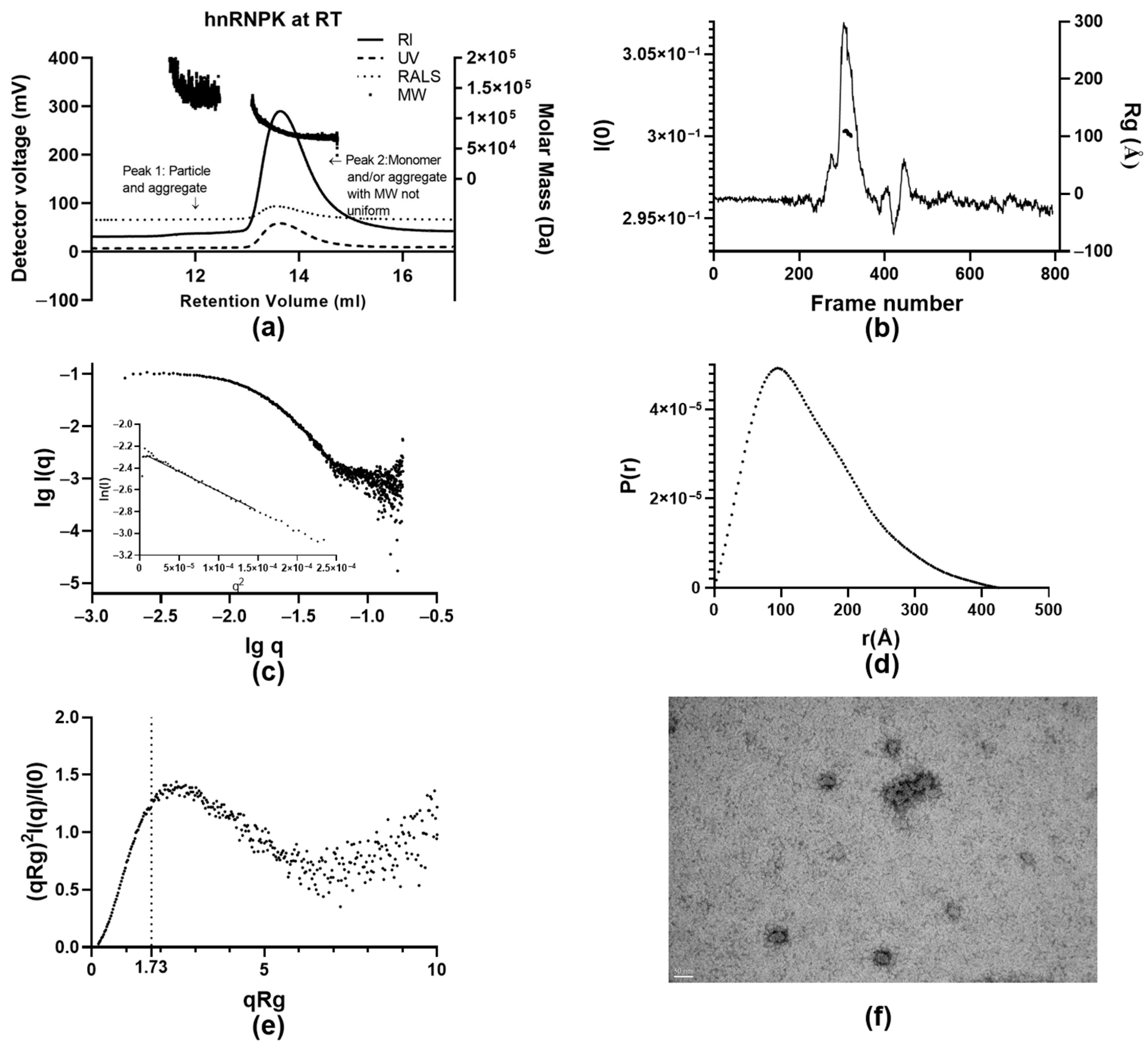 Ijms 26 01356 g005 Ijms 26 01356 g005