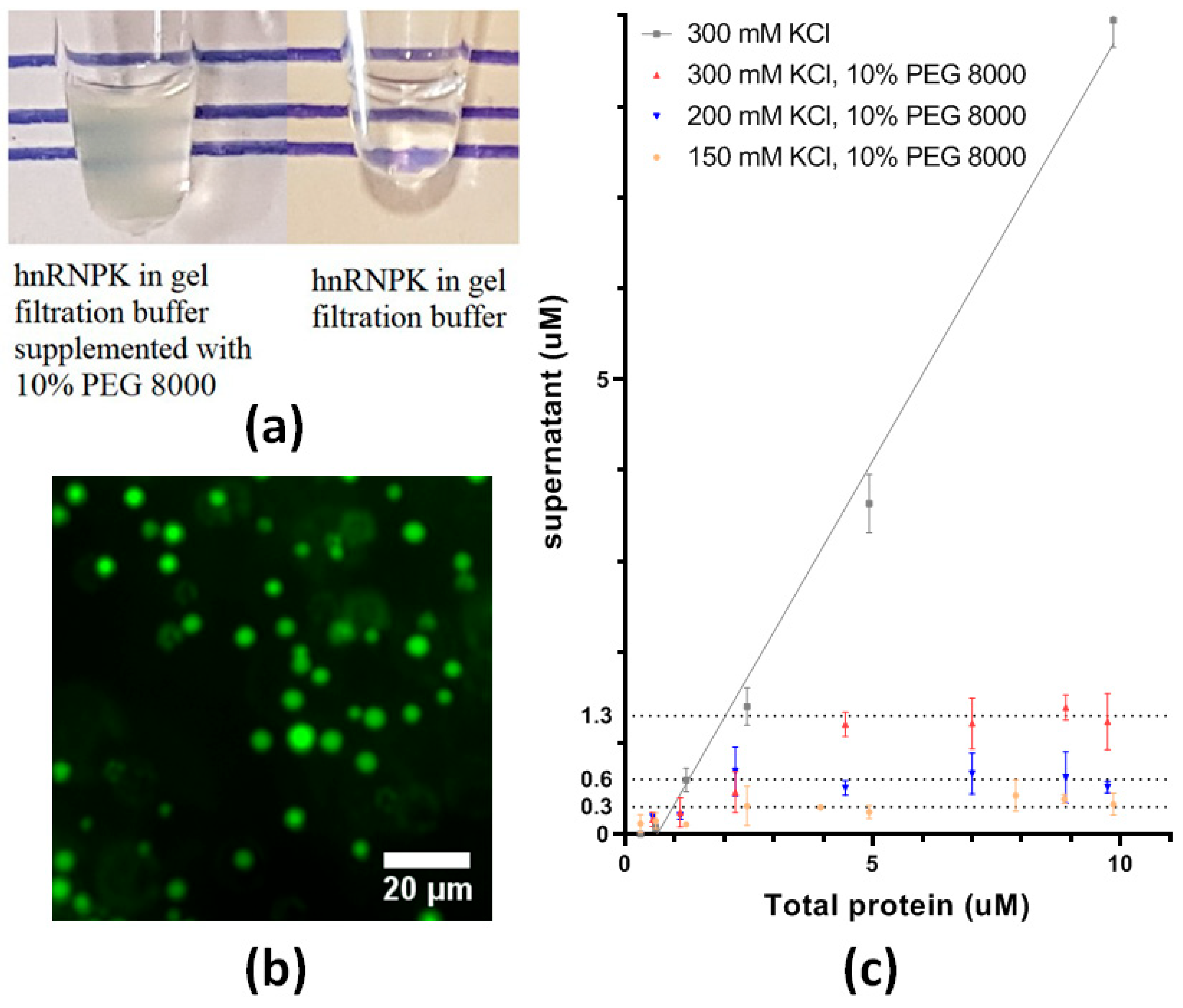 Ijms 26 01356 g008 Ijms 26 01356 g008