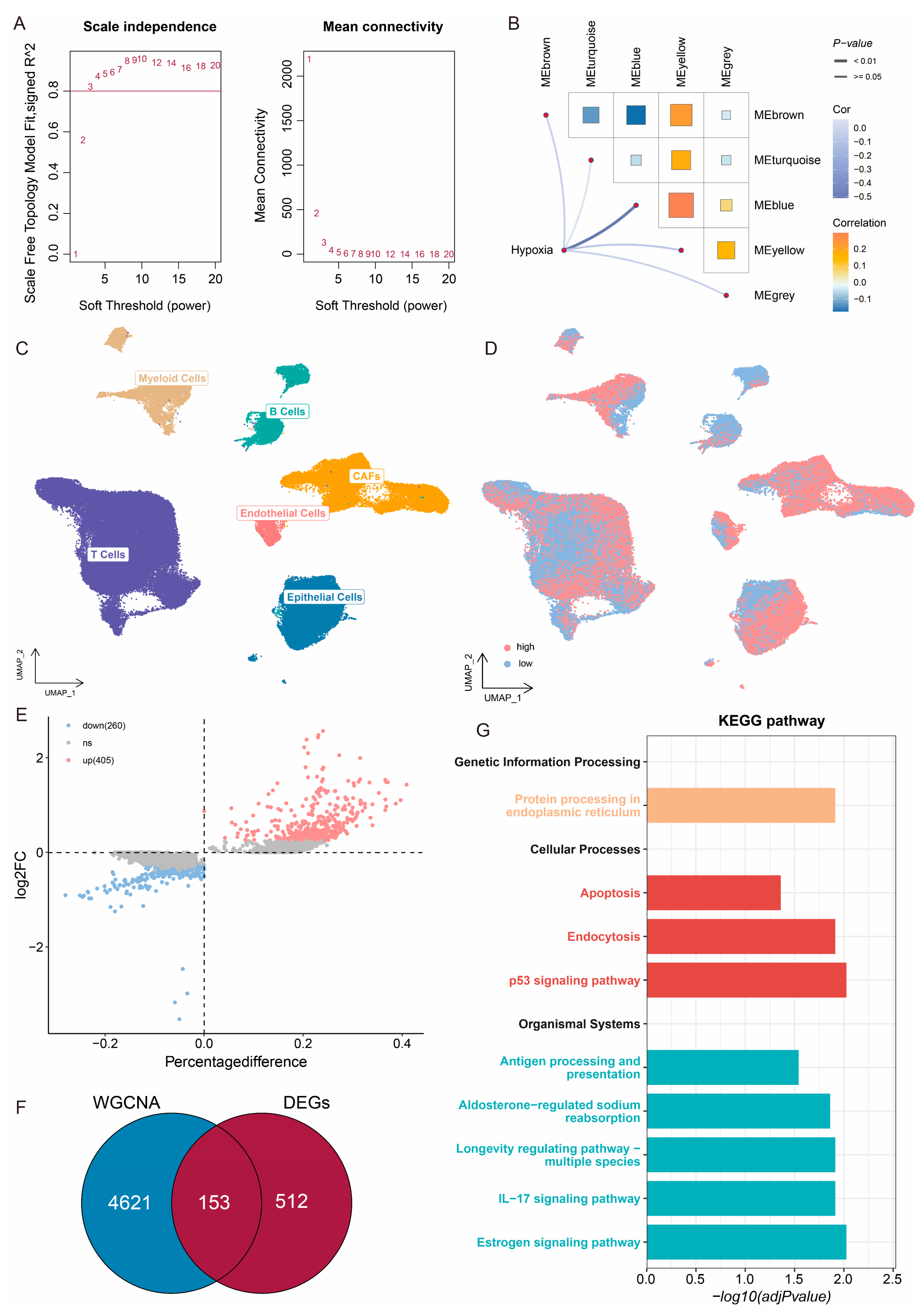 Ijms 26 01362 g002 Ijms 26 01362 g002