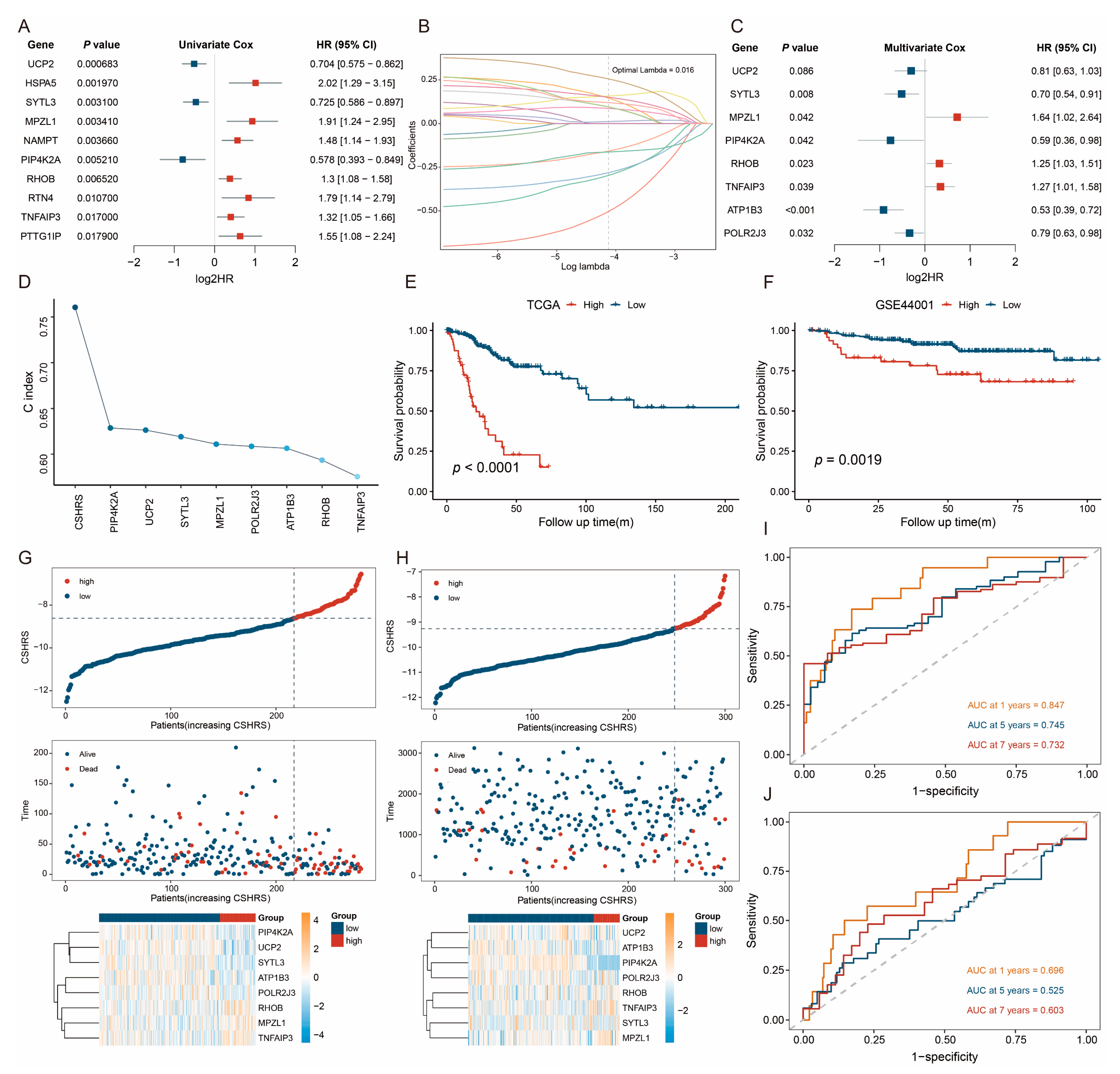 Ijms 26 01362 g003 Ijms 26 01362 g003