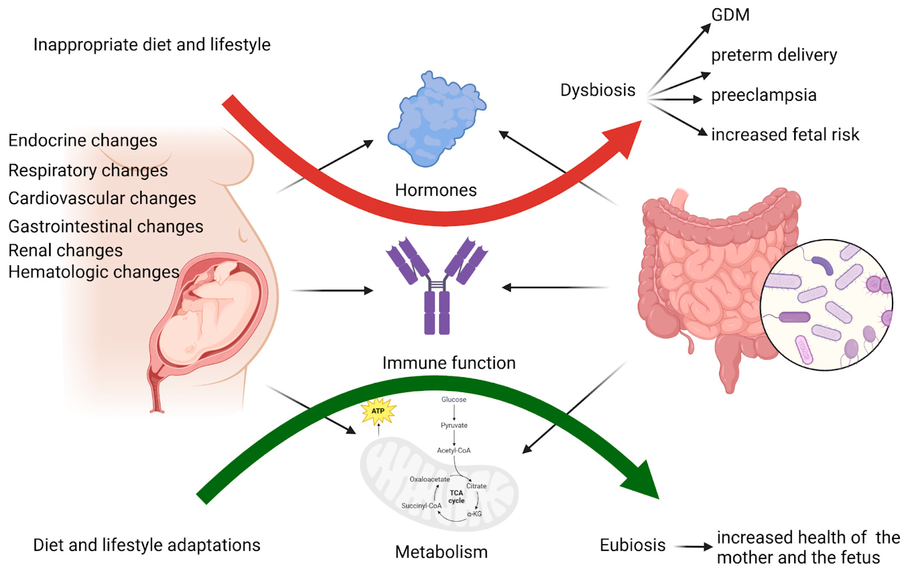 Ijms 26 01372 g001 Ijms 26 01372 g001