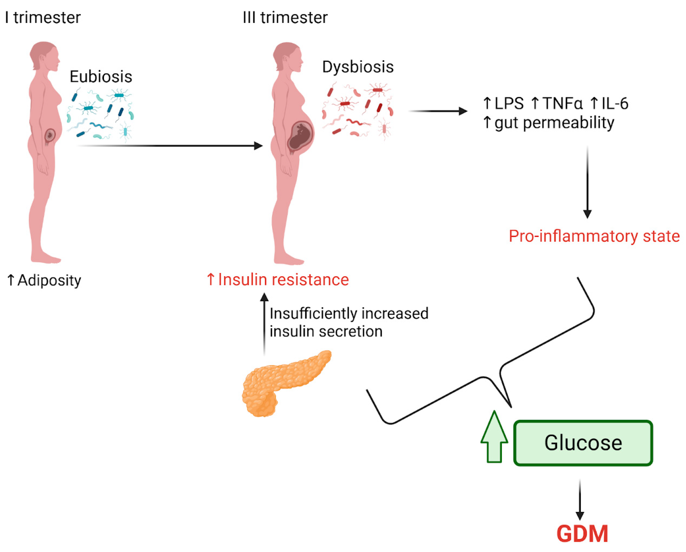 Ijms 26 01372 g002 Ijms 26 01372 g002
