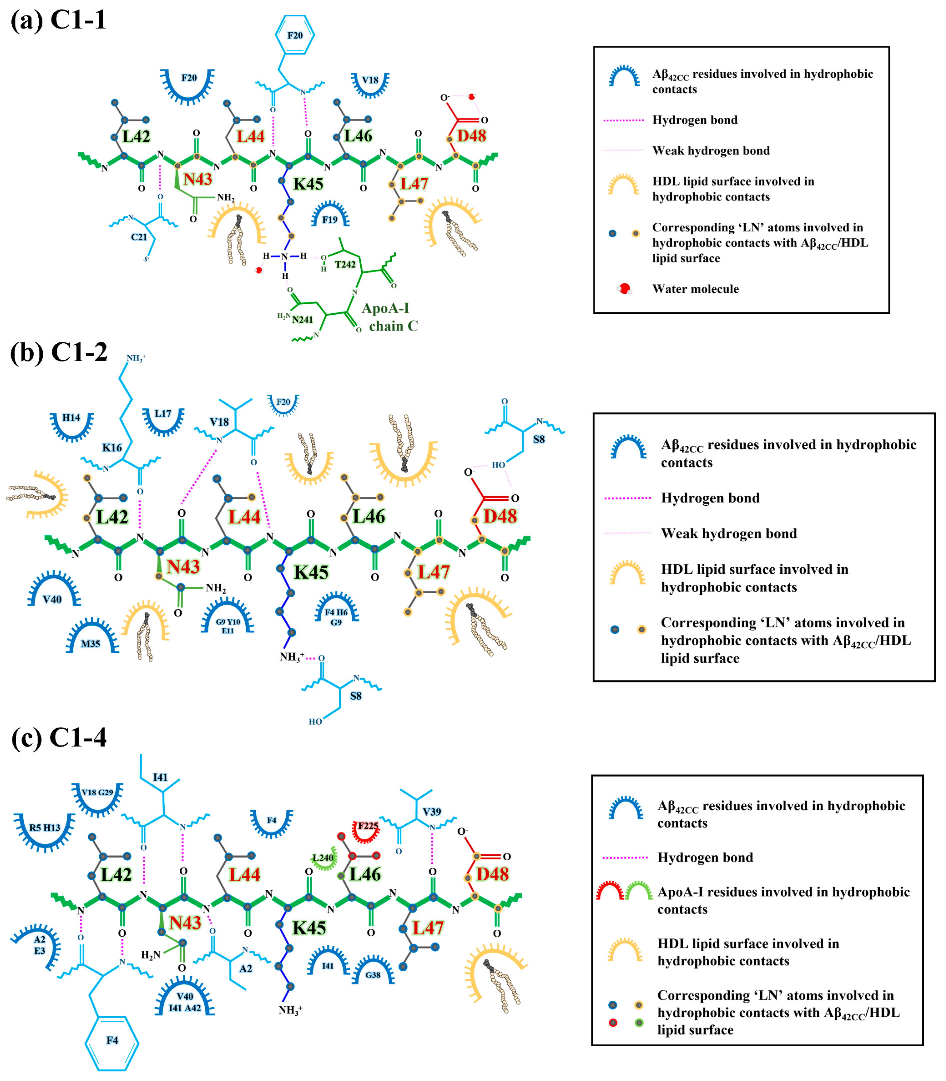 Ijms 26 01380 g009 Ijms 26 01380 g009