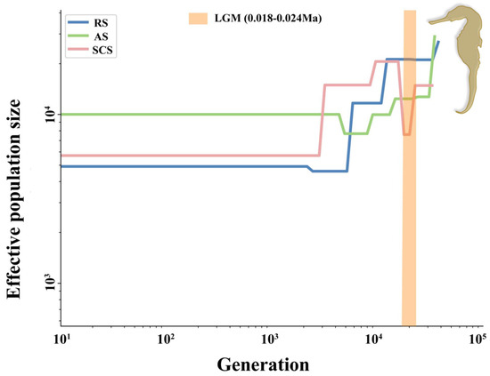 IO レコード IO商品一覧｜ディスクユニオン・オンラインショップ｜diskunion.net