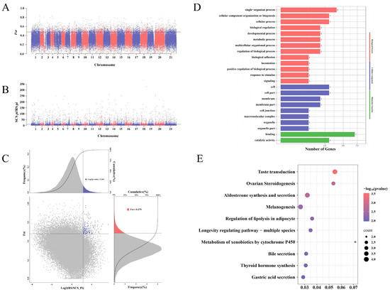 IO レコード IO 4th Album『four』が2枚組アナログ化。 11月13日に完全生産