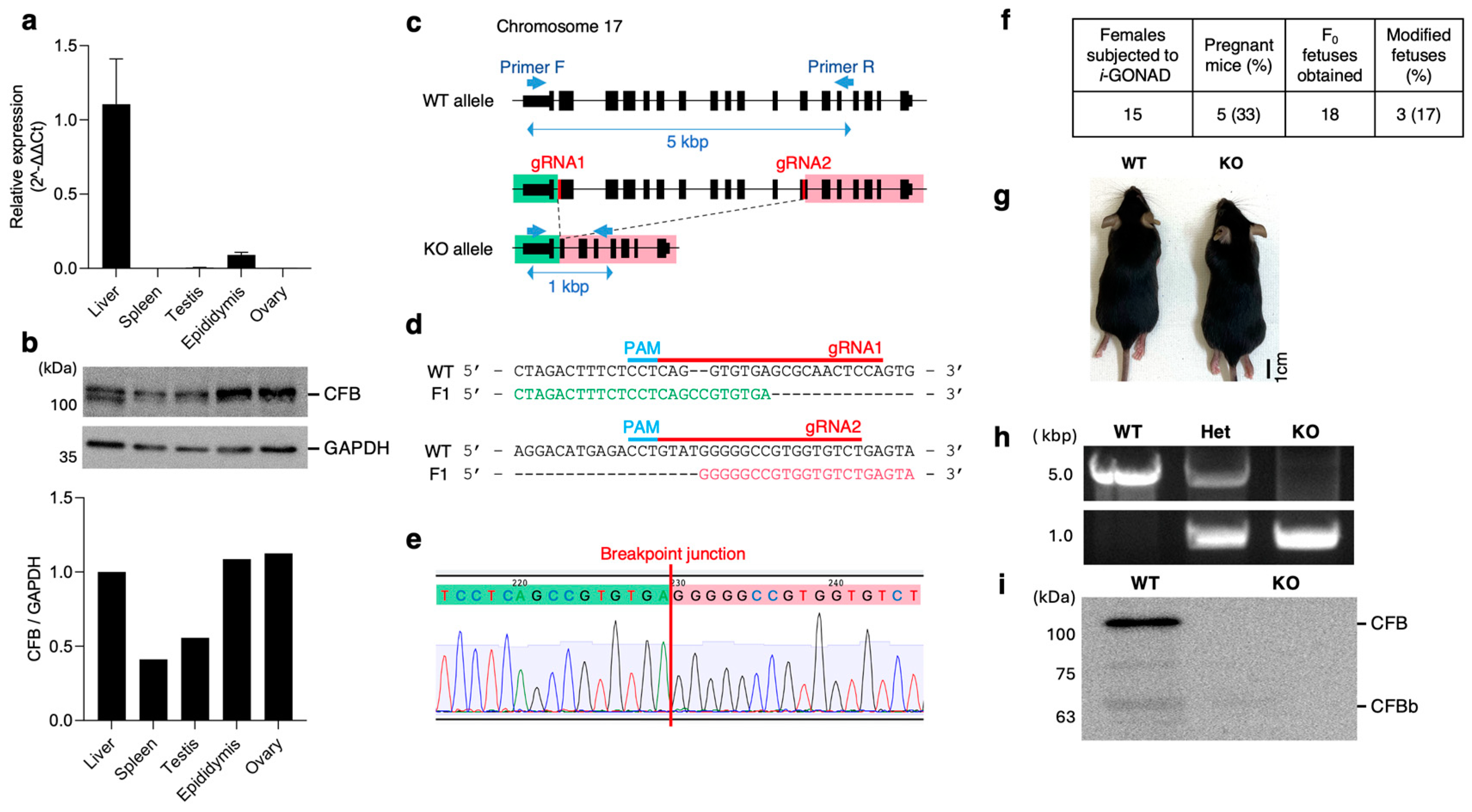 Ijms 26 01393 g001 Ijms 26 01393 g001
