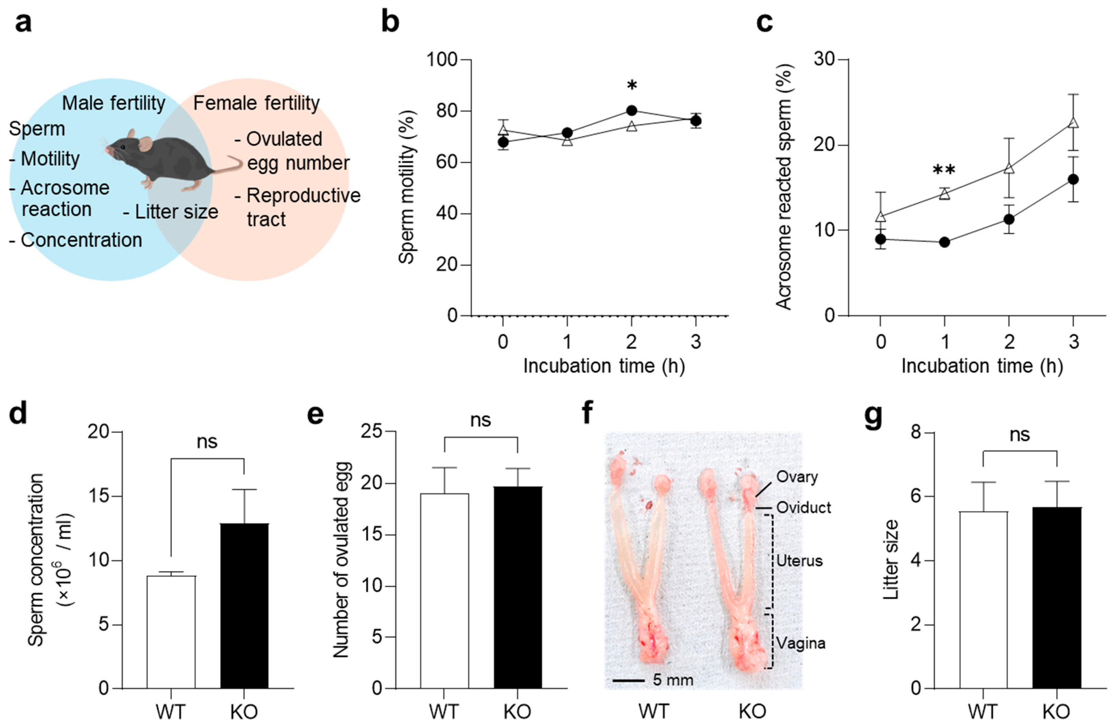 Ijms 26 01393 g002 Ijms 26 01393 g002