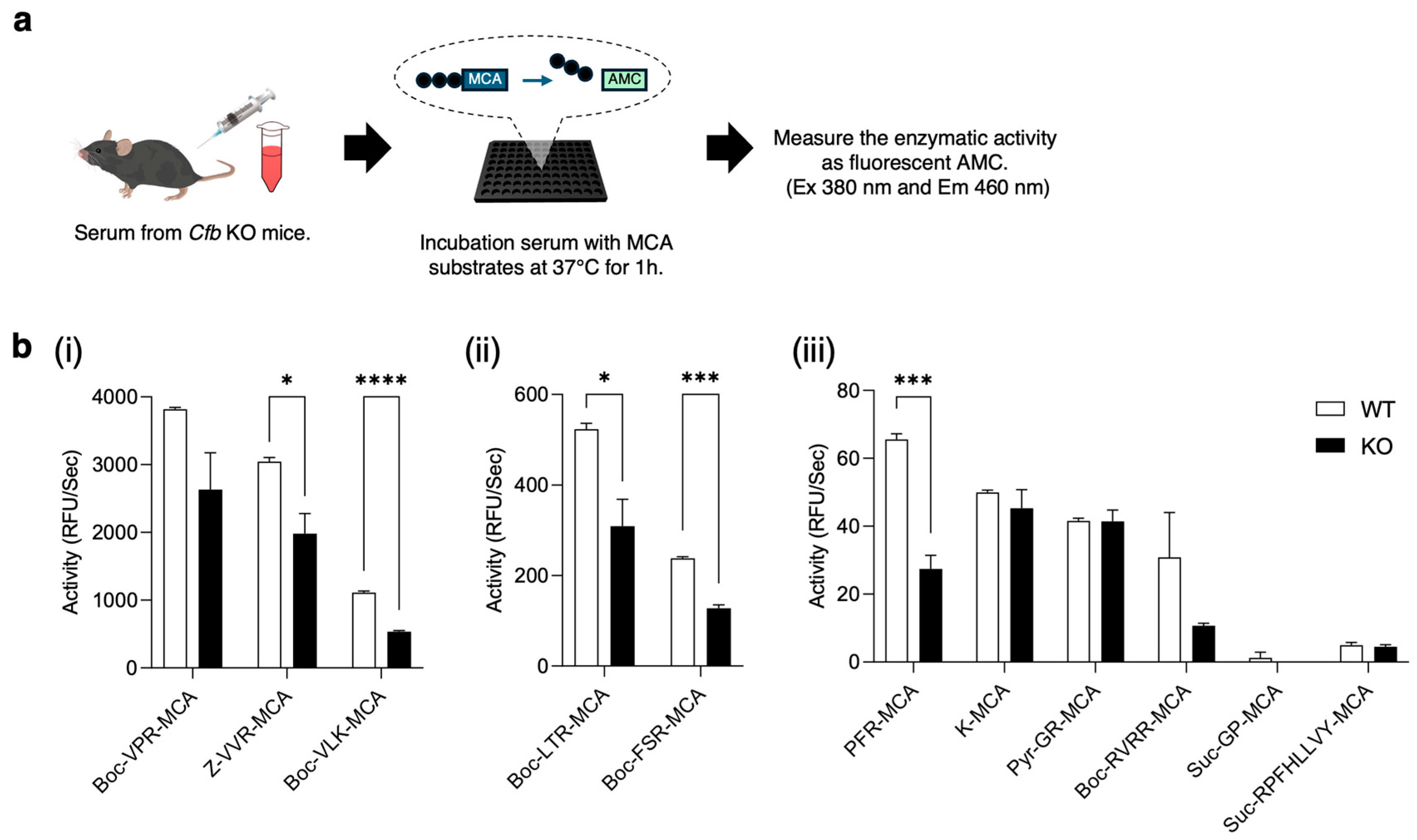Ijms 26 01393 g004 Ijms 26 01393 g004