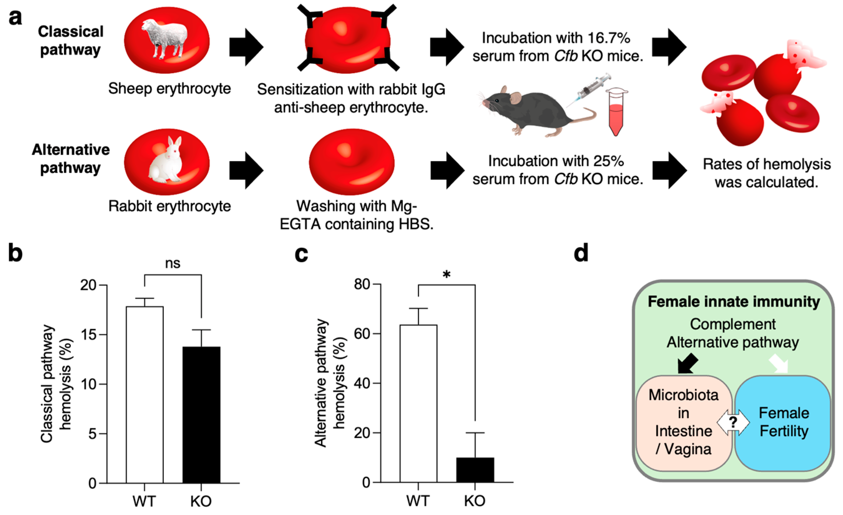Ijms 26 01393 g005 Ijms 26 01393 g005