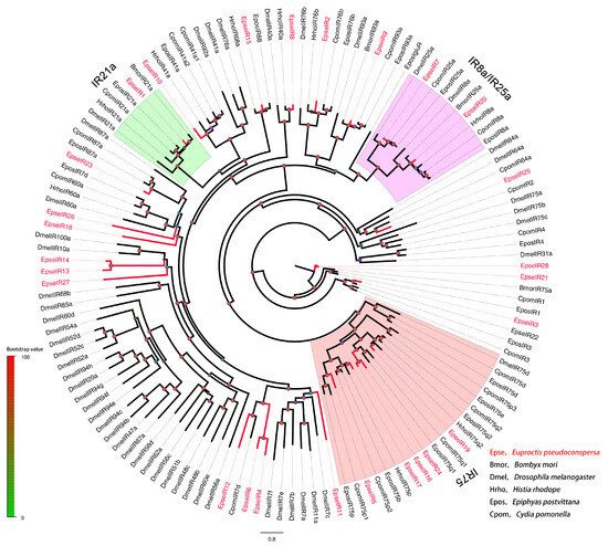 Transcriptome Profiling of Euproctis pseudoconspersa Reveals