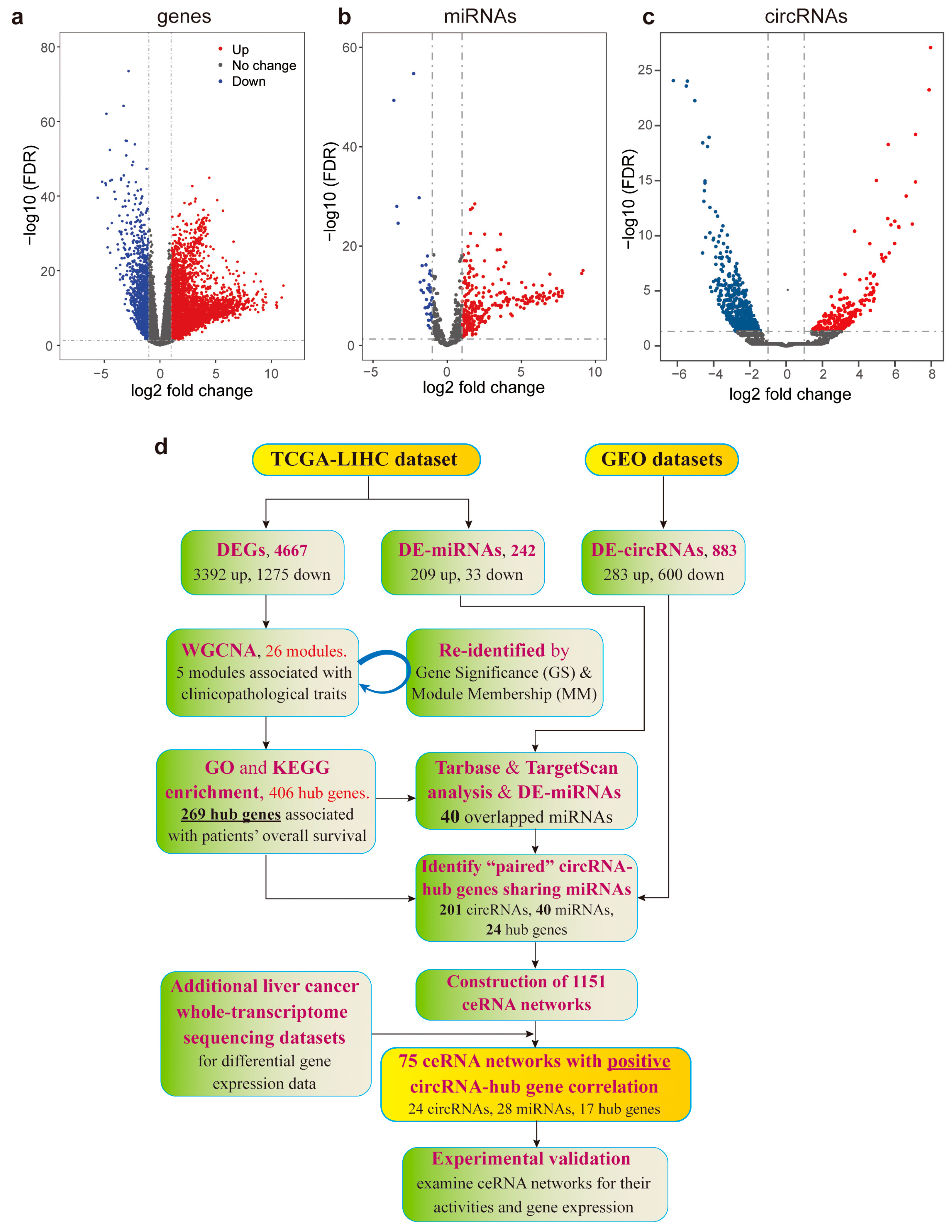 Identifying Essential Hub Genes and circRNA-Regulated ceRNA