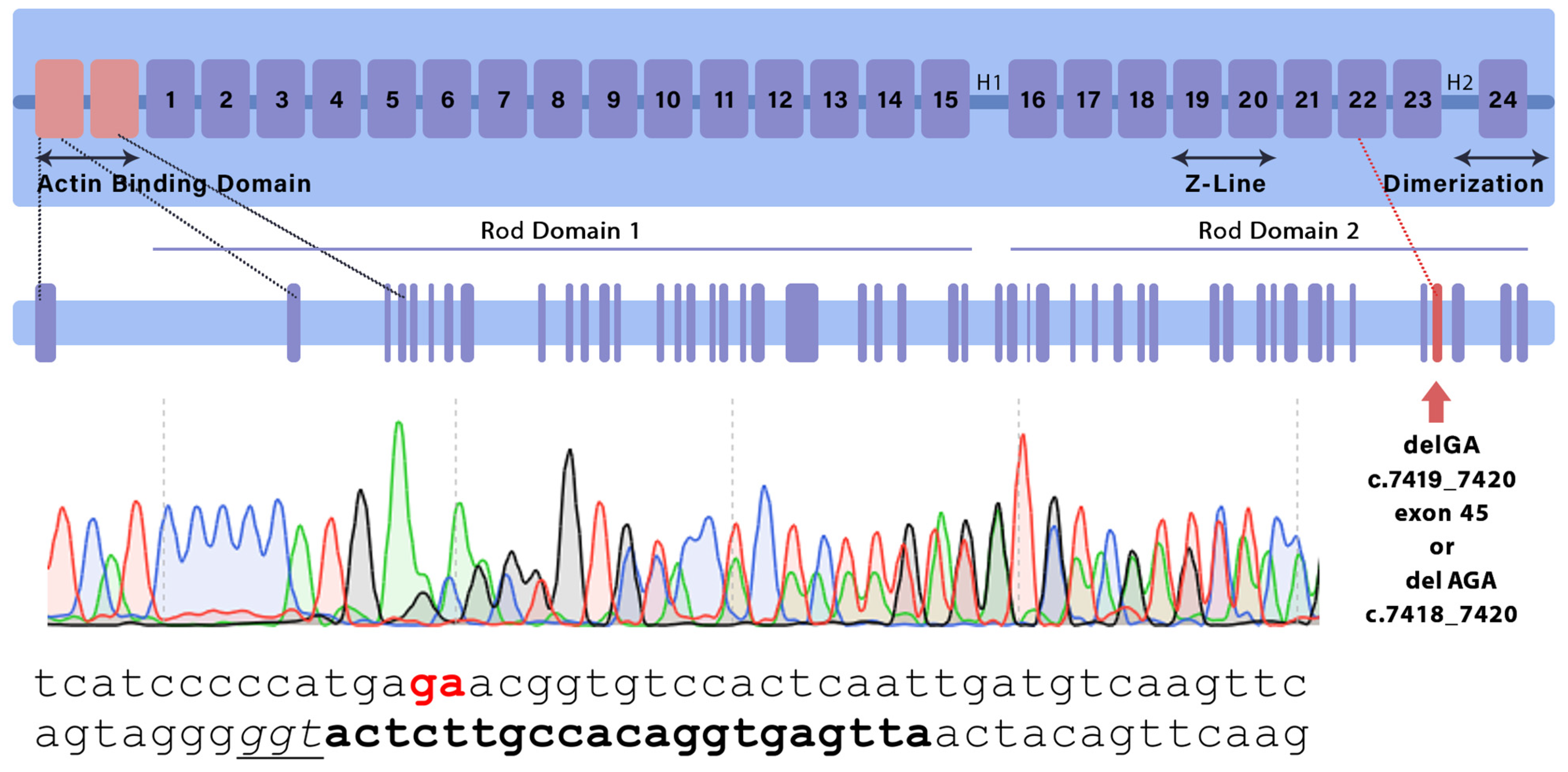 Ijms 26 01409 g001 Ijms 26 01409 g001