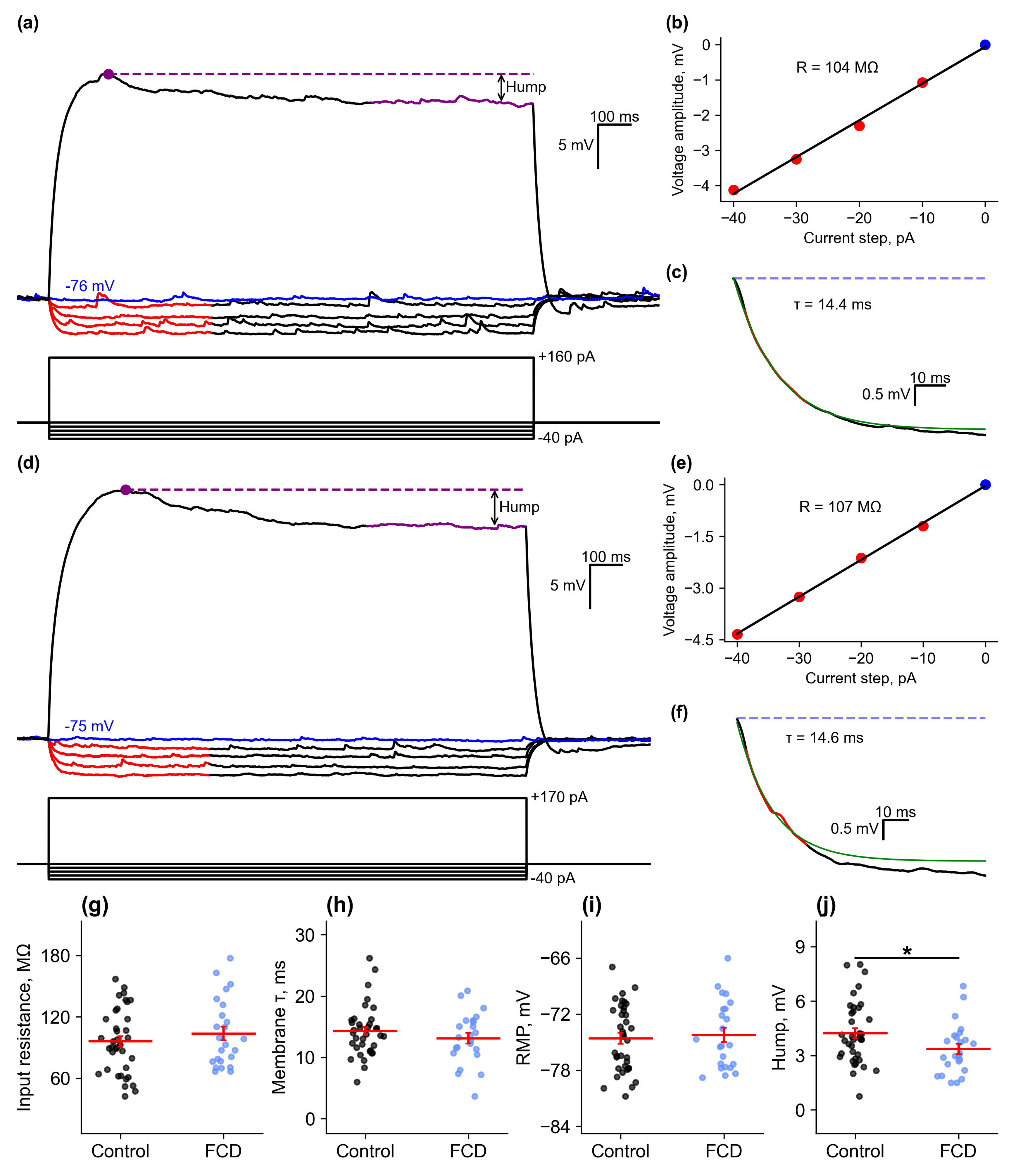 Ijms 26 01423 g002 Ijms 26 01423 g002