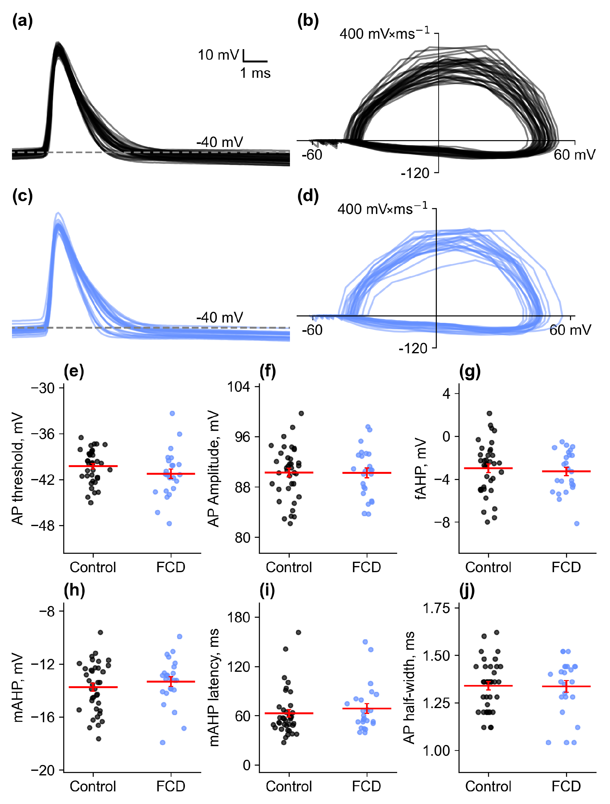 Ijms 26 01423 g003 Ijms 26 01423 g003