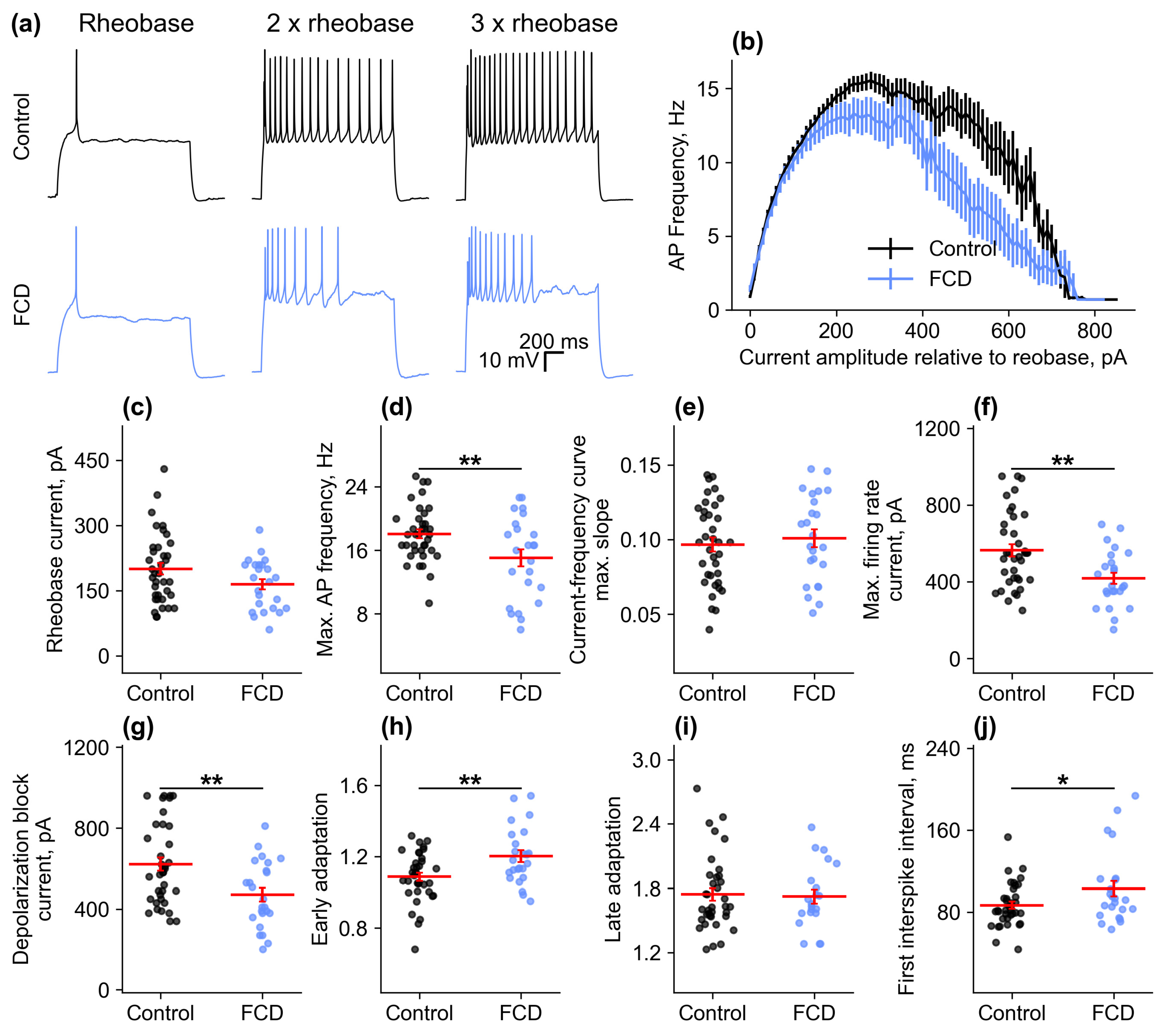 Ijms 26 01423 g004 Ijms 26 01423 g004