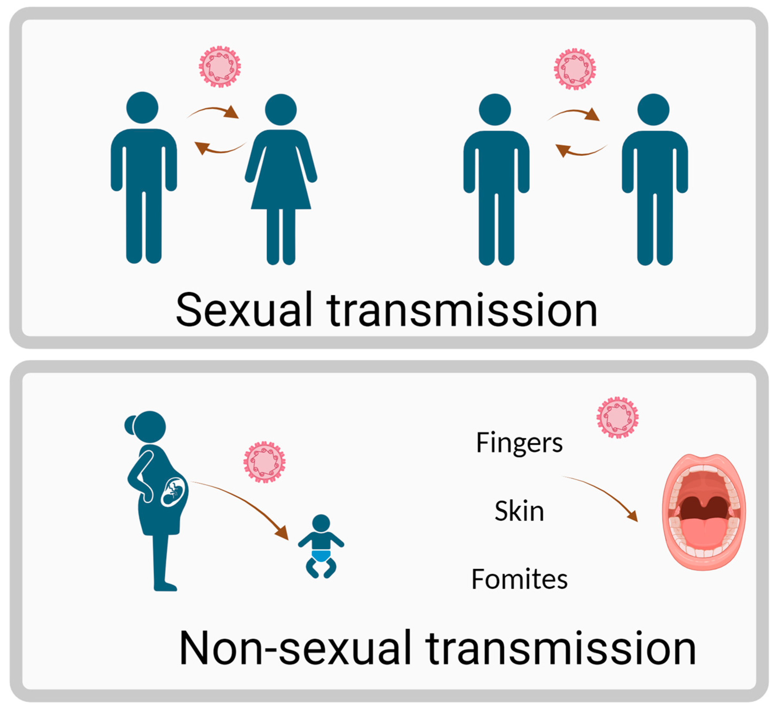 HPV Infection and Oral Microbiota: Interactions and Future Implications