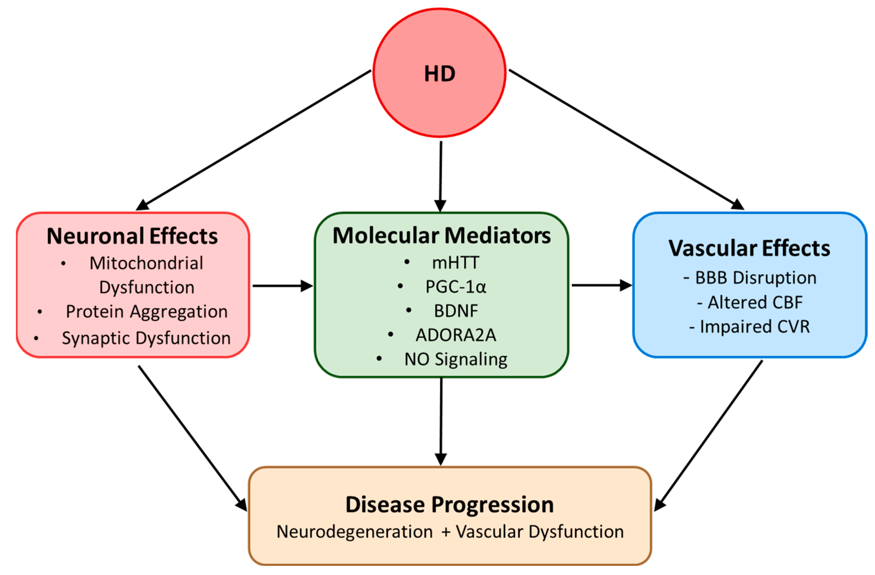 Ijms 26 01432 g003 Ijms 26 01432 g003
