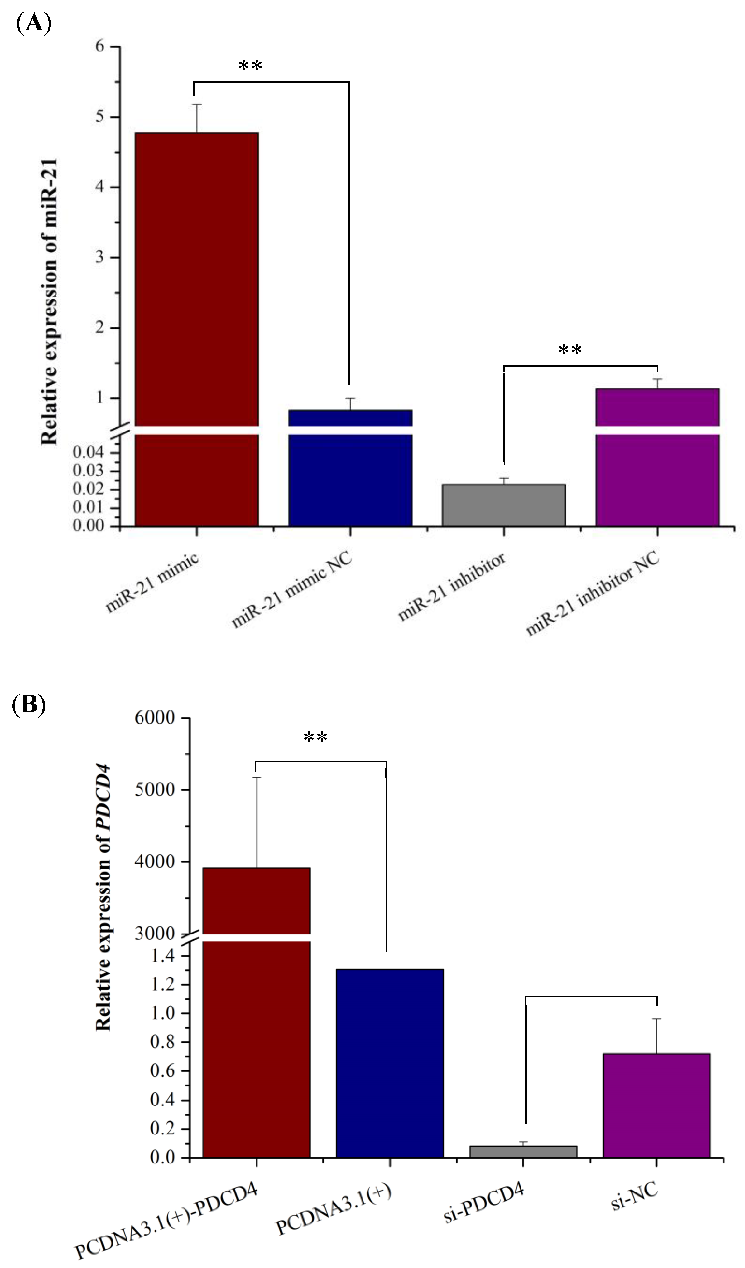 Ijms 26 01460 g001 Ijms 26 01460 g001