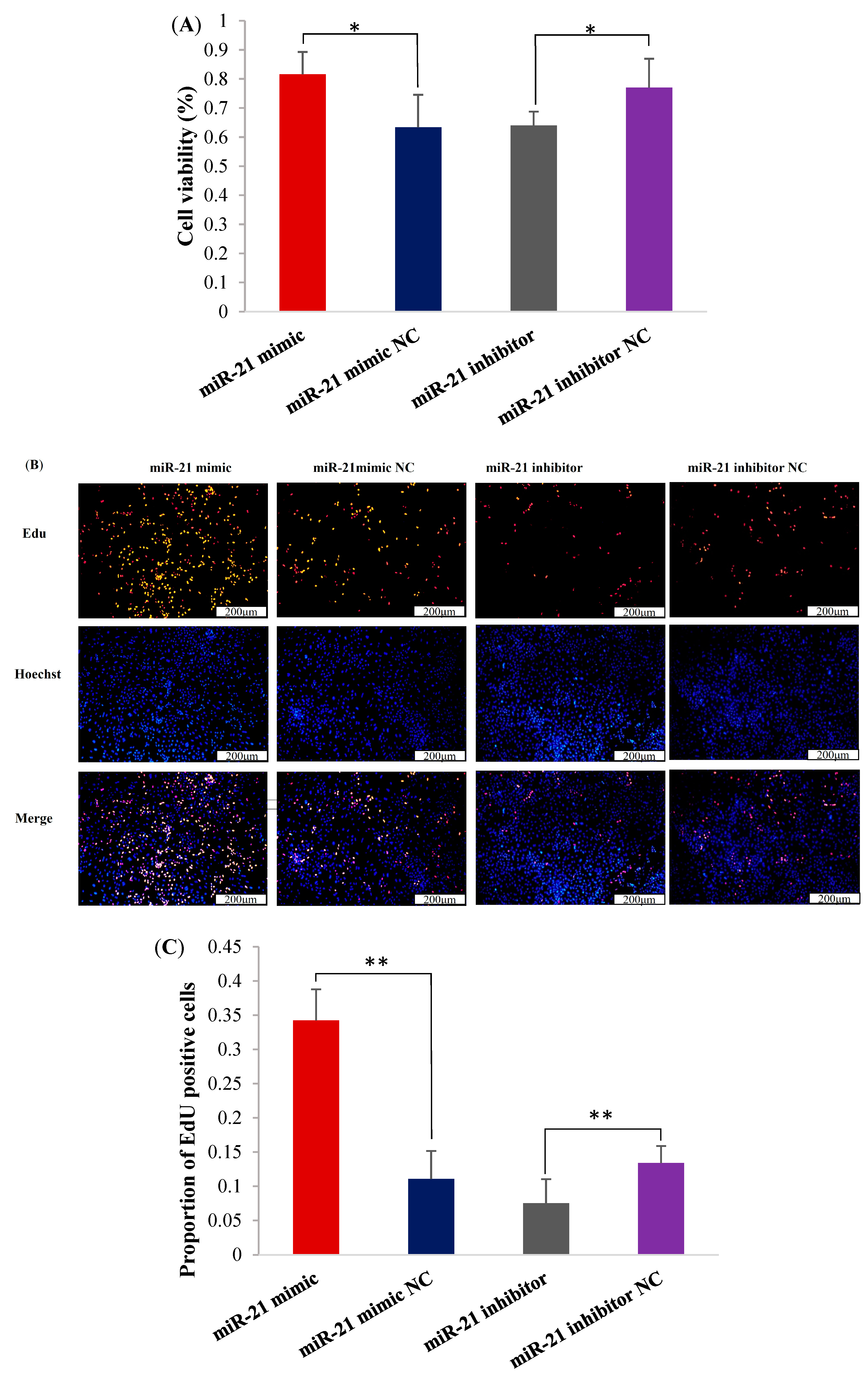 Ijms 26 01460 g002 Ijms 26 01460 g002