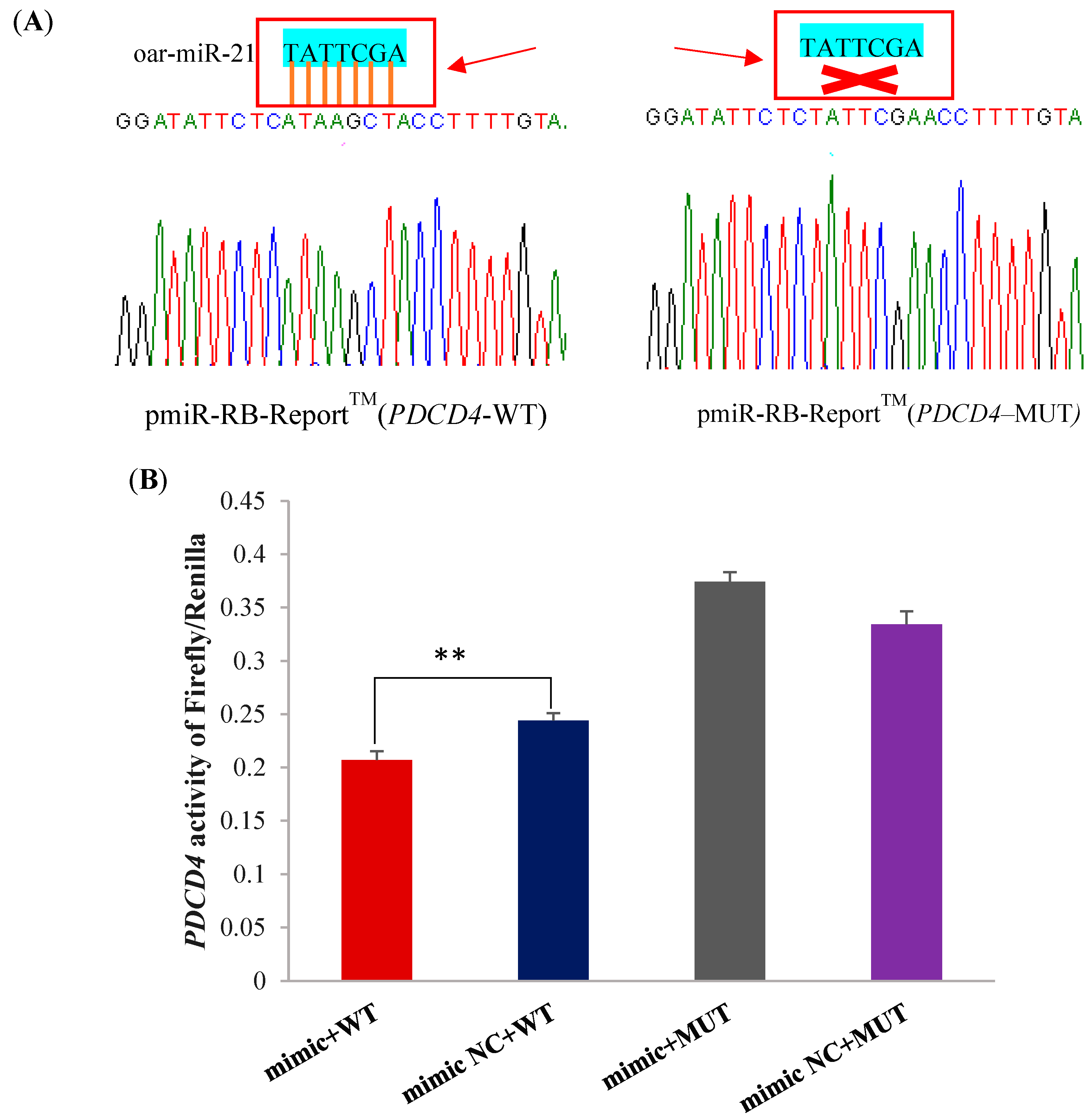 Ijms 26 01460 g004 Ijms 26 01460 g004