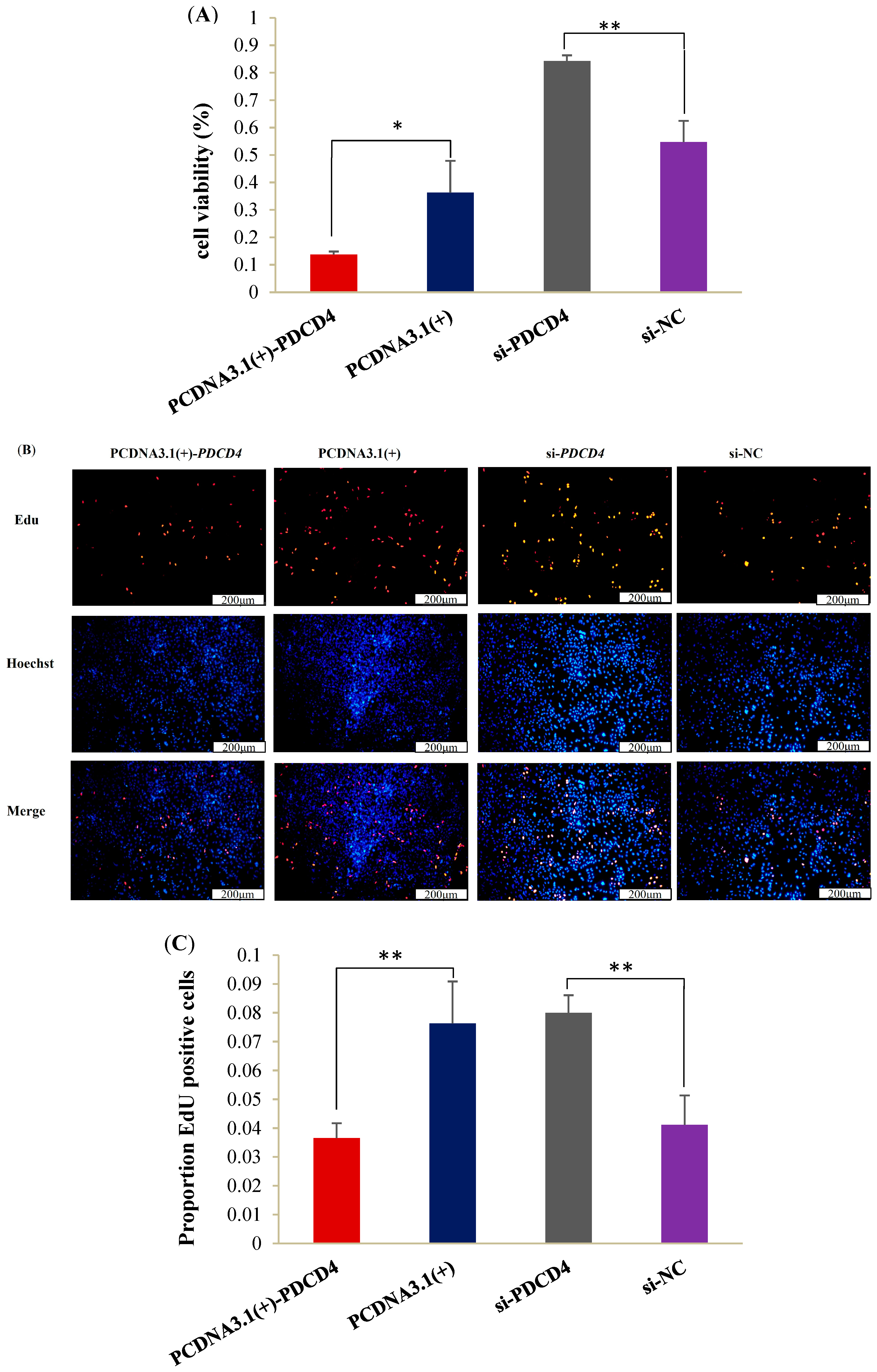Ijms 26 01460 g006 Ijms 26 01460 g006