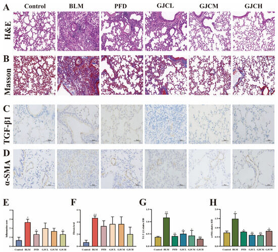 レイ サードアイ ヘルメット