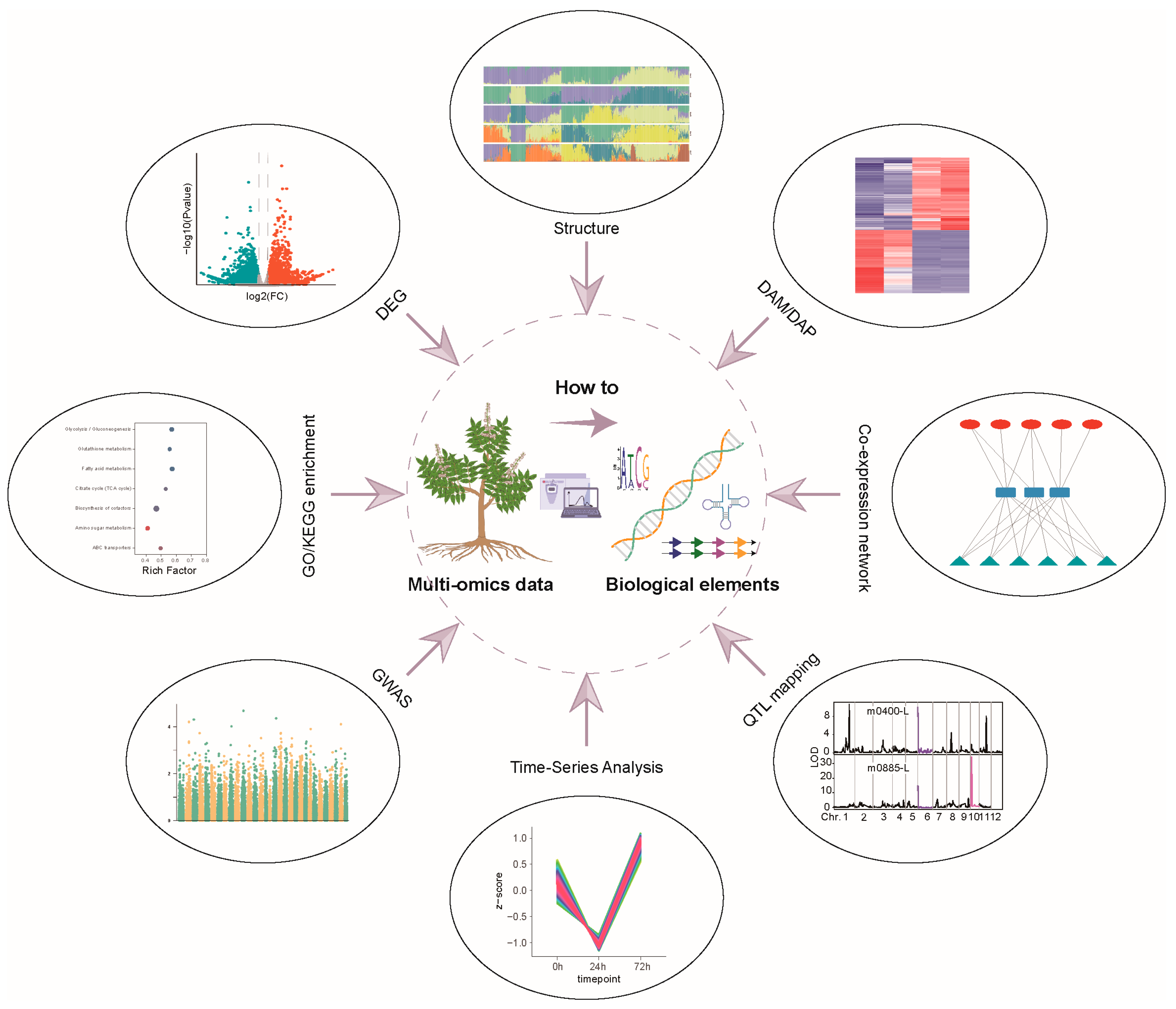 Integrative Multi-Omics Approaches for Identifying and Characterizing ...
