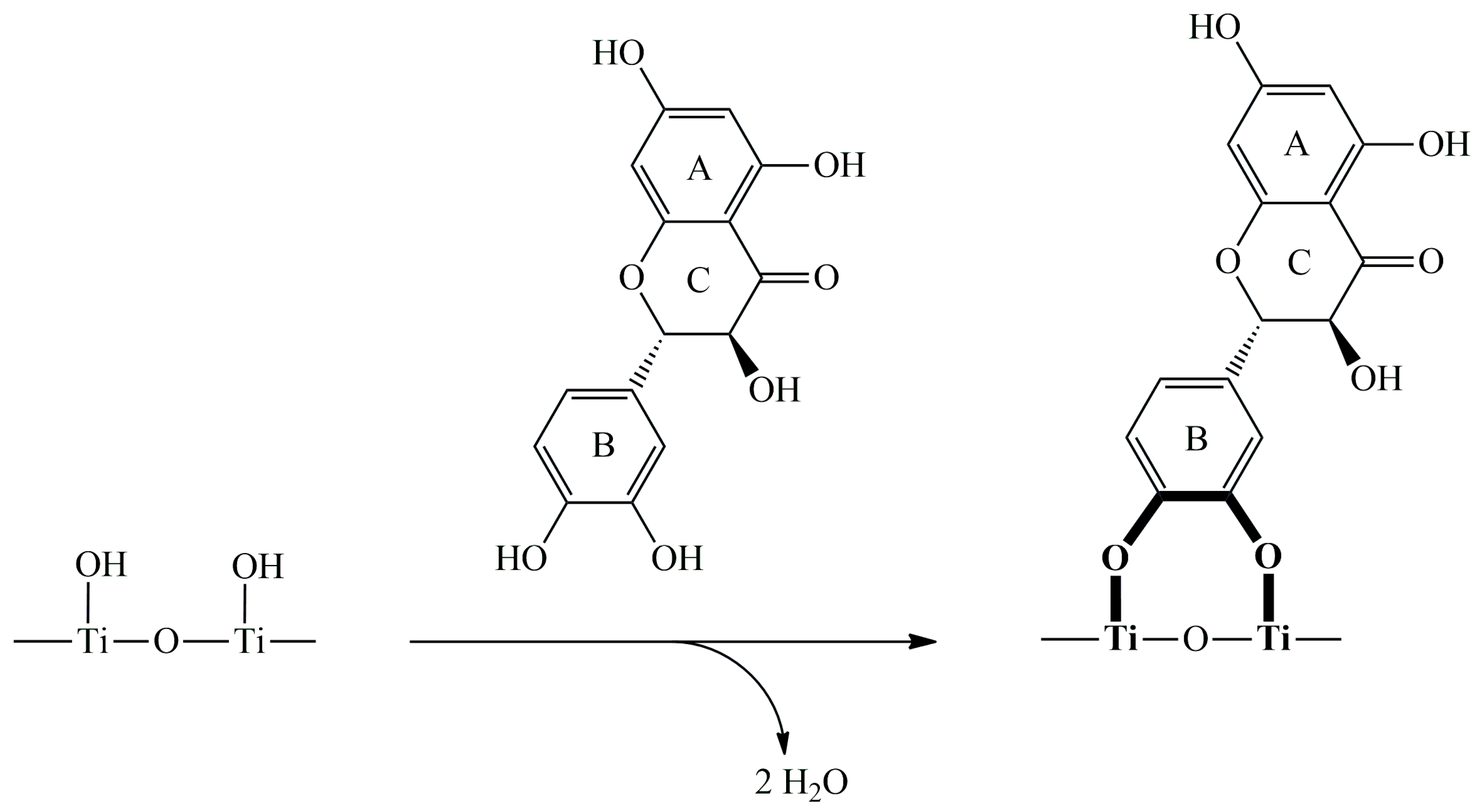 Ijms 26 01475 sch001