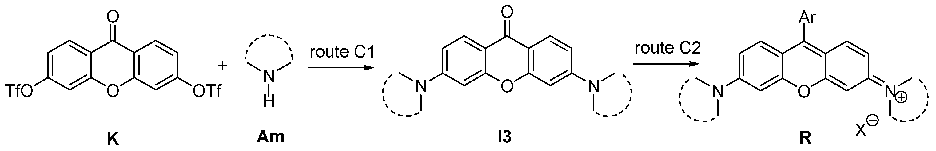 Ijms 26 01482 sch002