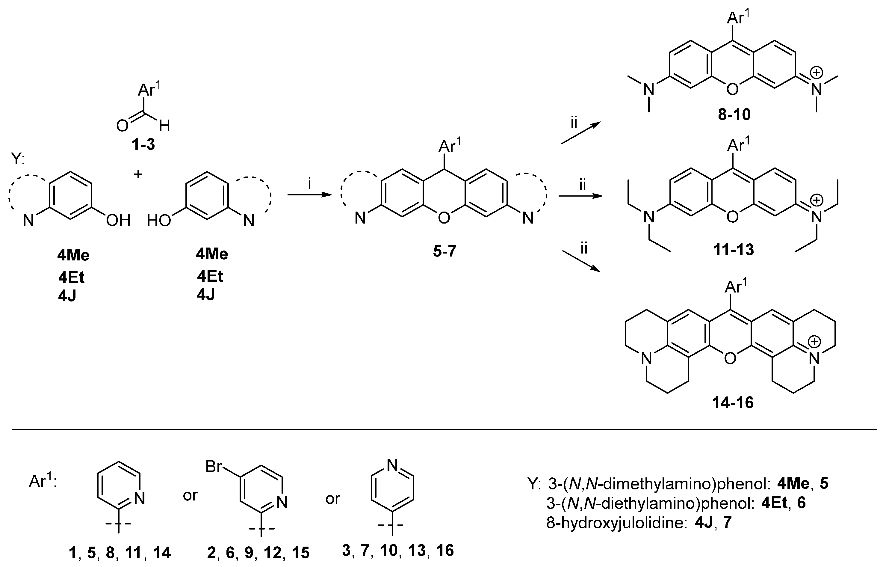 Ijms 26 01482 sch003
