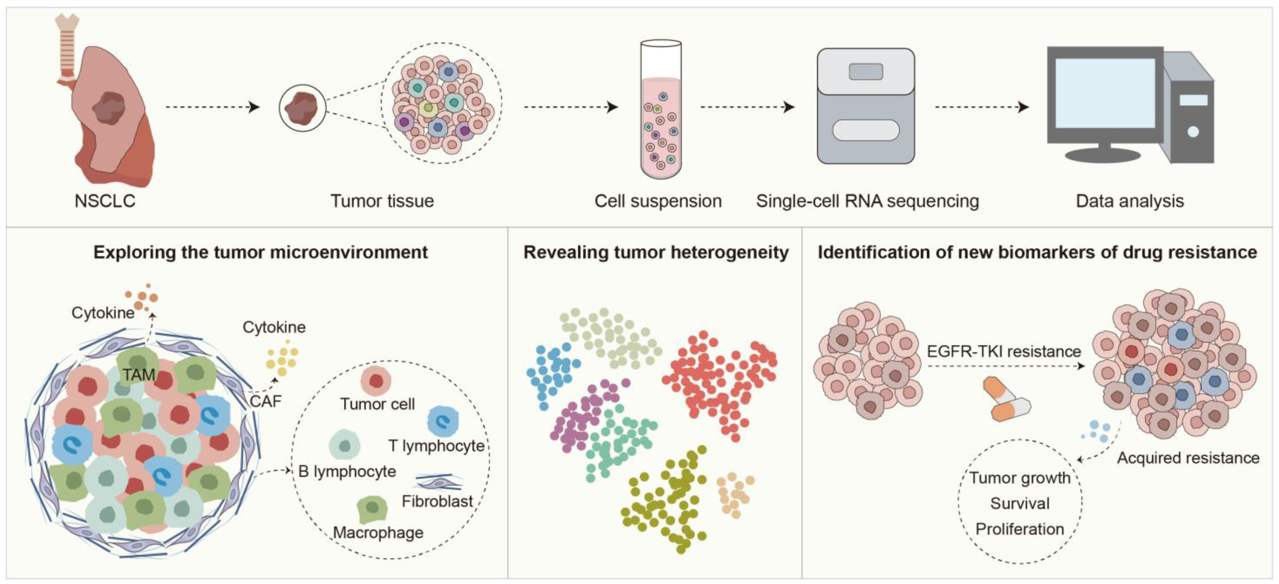 TAKE Single-Cell RNA Sequencing in Unraveling Acquired Resistance