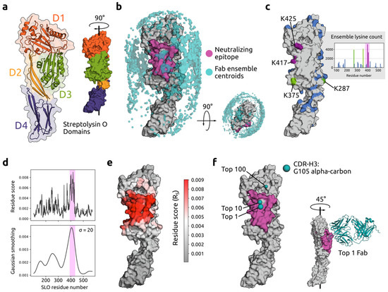 ワコーズセット 36本セット D1 D2 ワコーズセット 36本セット D1 D2